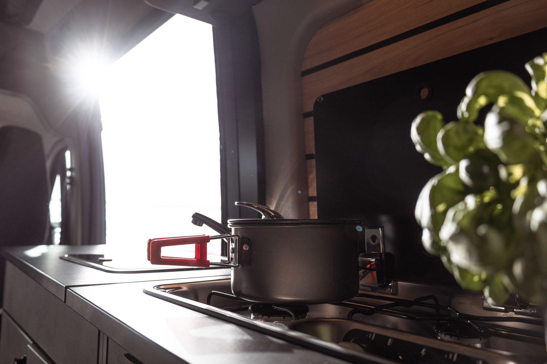 Küche mit Herd und Topf, Sonnenlicht strahlt durch ein Fenster, Pflanzen auf der rechten Seite, Holzdekor an der Wand.