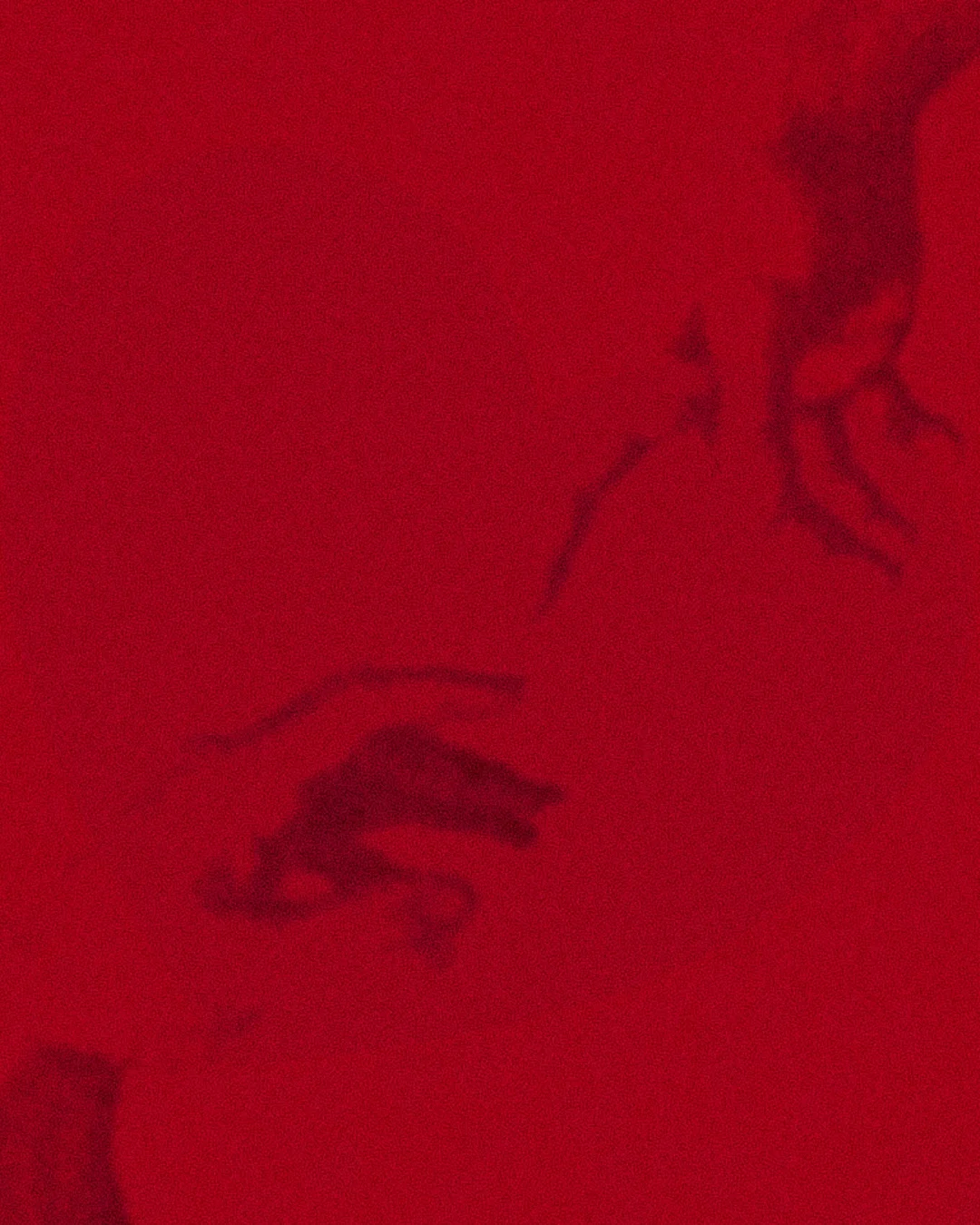 Red background with a faint drawing of a hand reaching out to another, with a great love shape in the background against many smaller hearts.