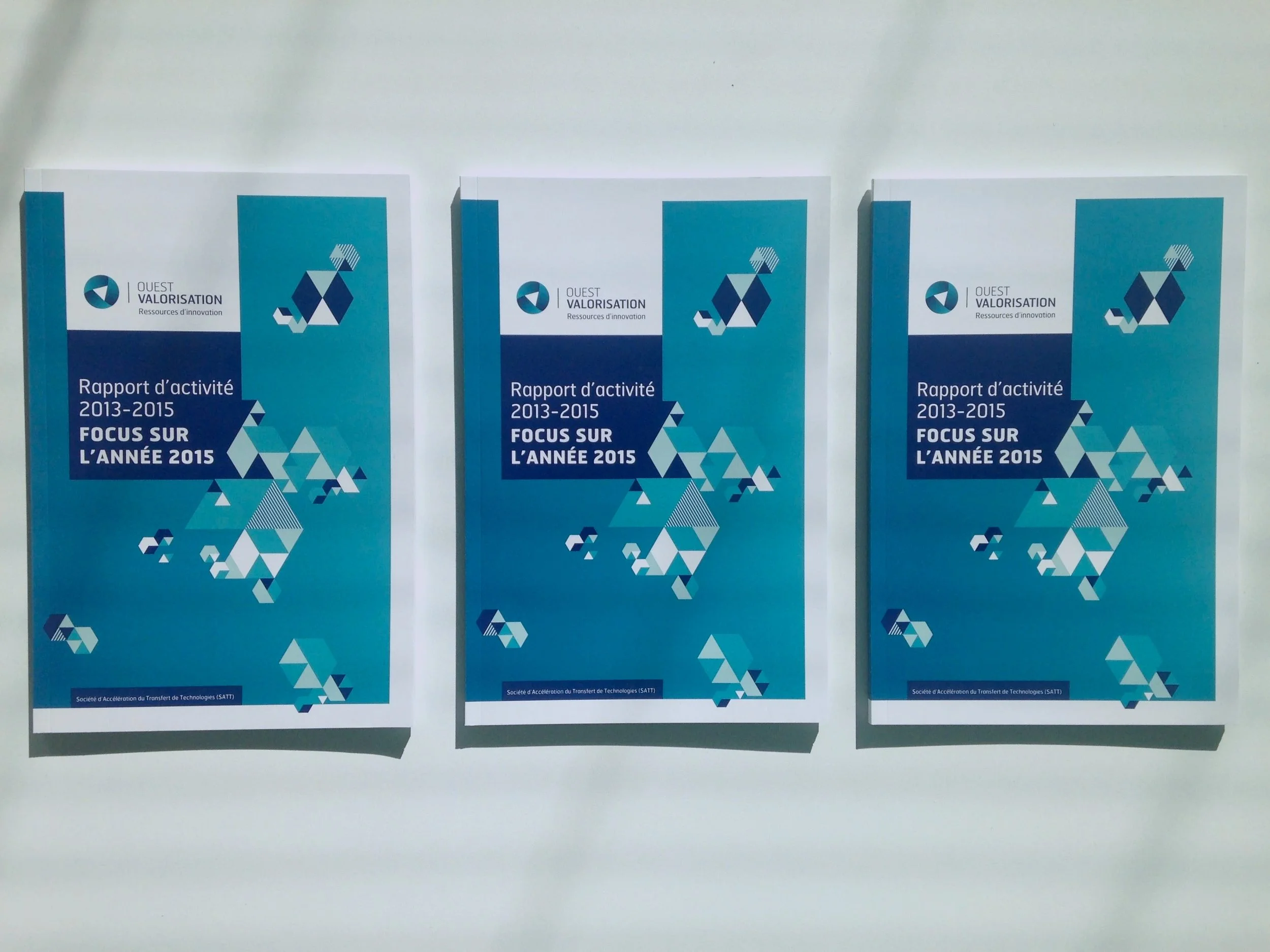 Pluenn Studio/V. Dekeyser - Rapport d'activité de Ouest Valorisation avec création graphique par Pollen Studio