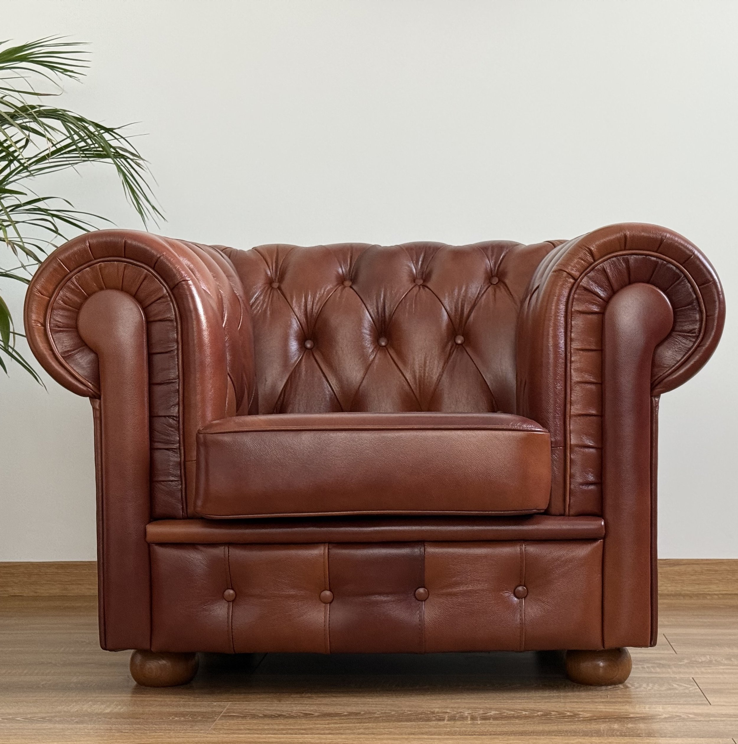 A classic brown leather Chesterfield sofa with tufted back and rolled arms, placed on a wooden floor against a white wall, with a green plant partially visible on the left.