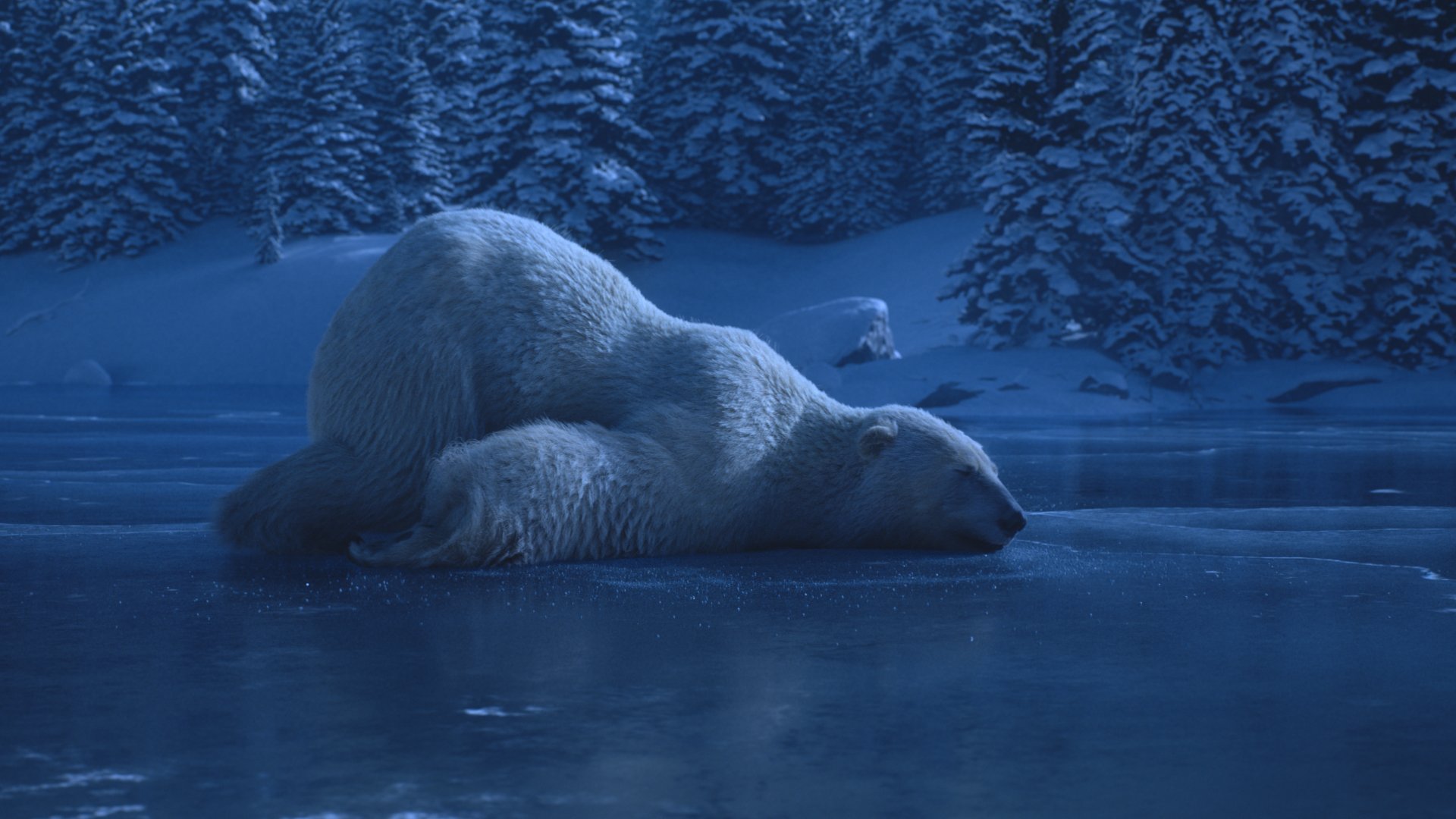 Director_Grade (0-00-10-03).jpg