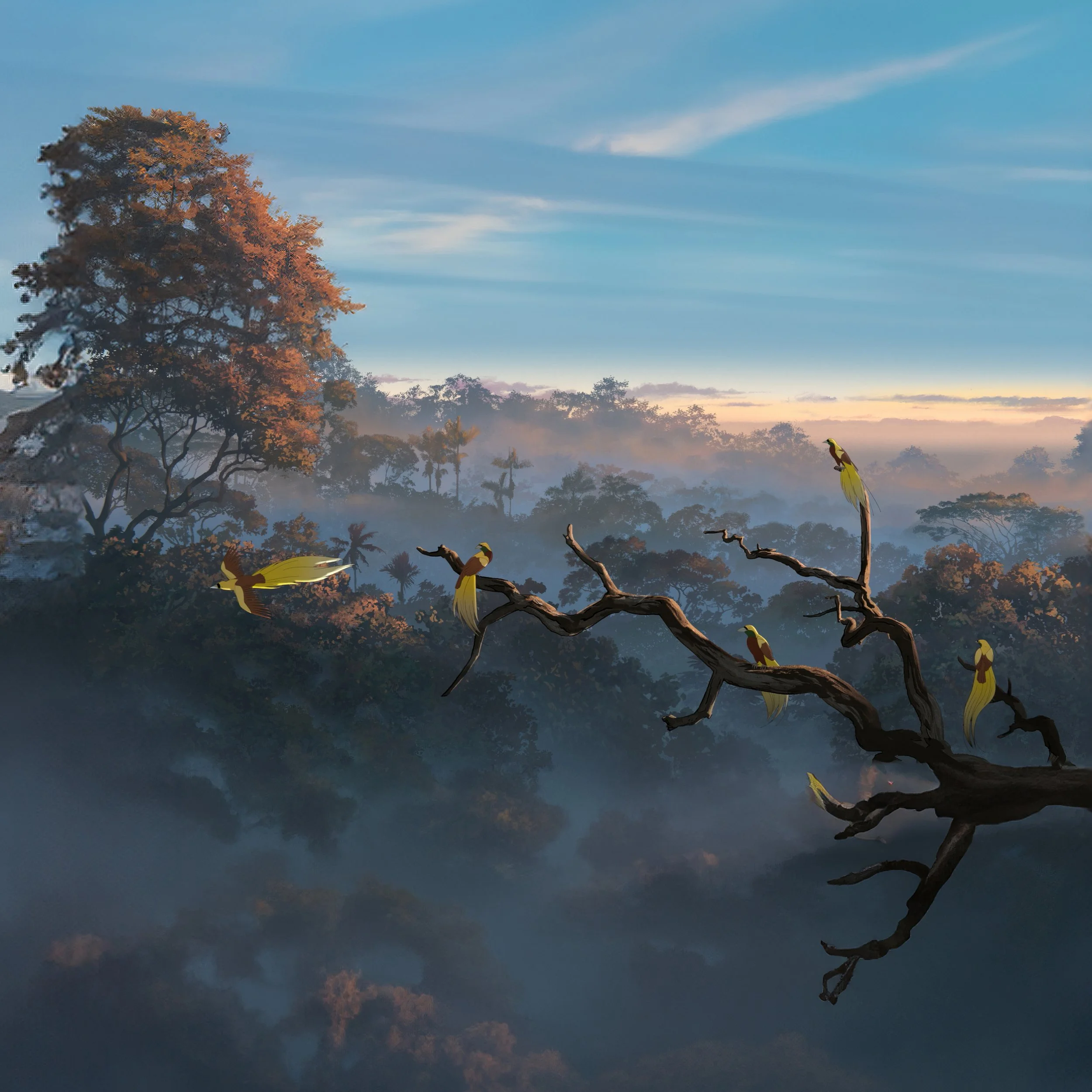 Birds of Paradise.jpg