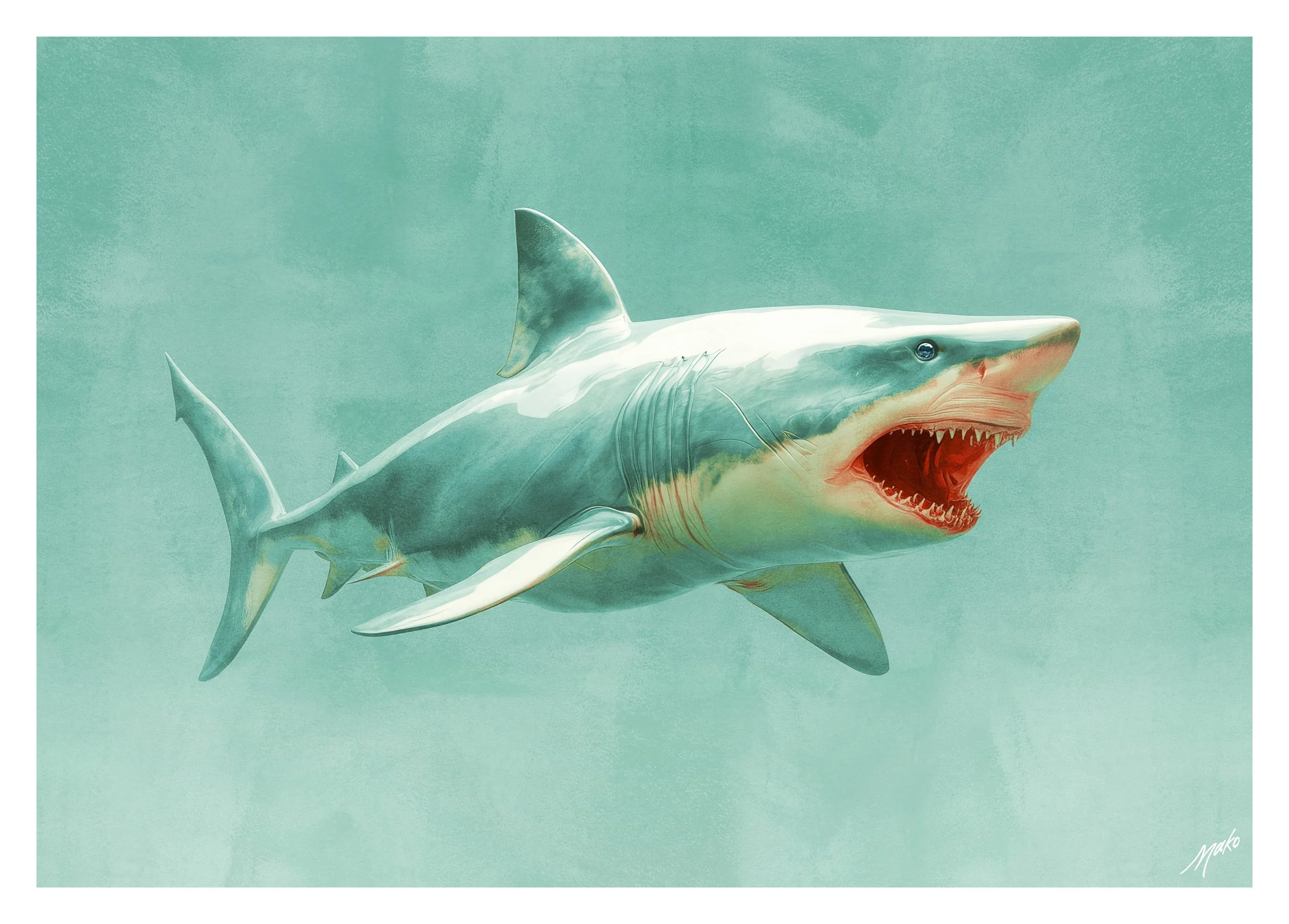 030-shark-2.jpg