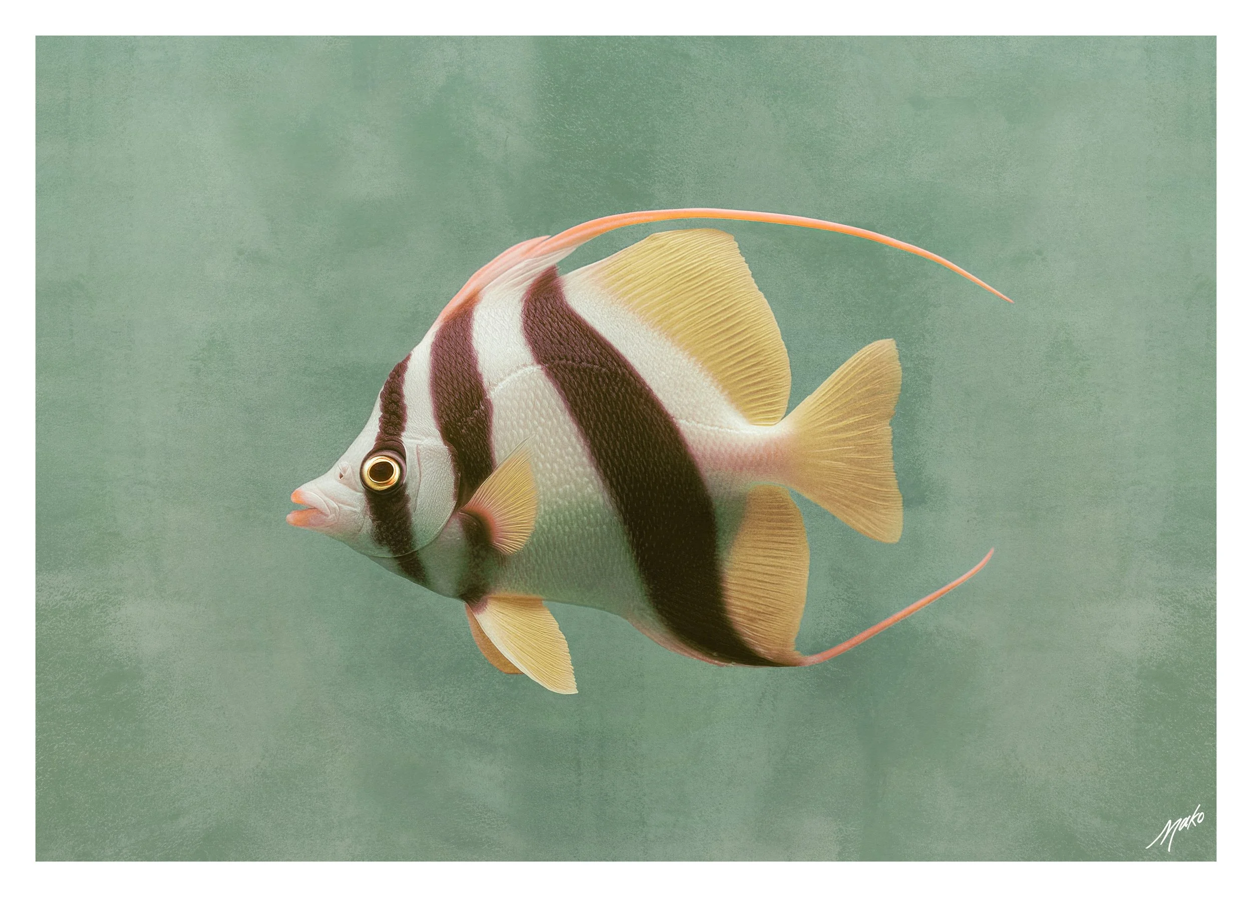 035-Bannerfish.jpg