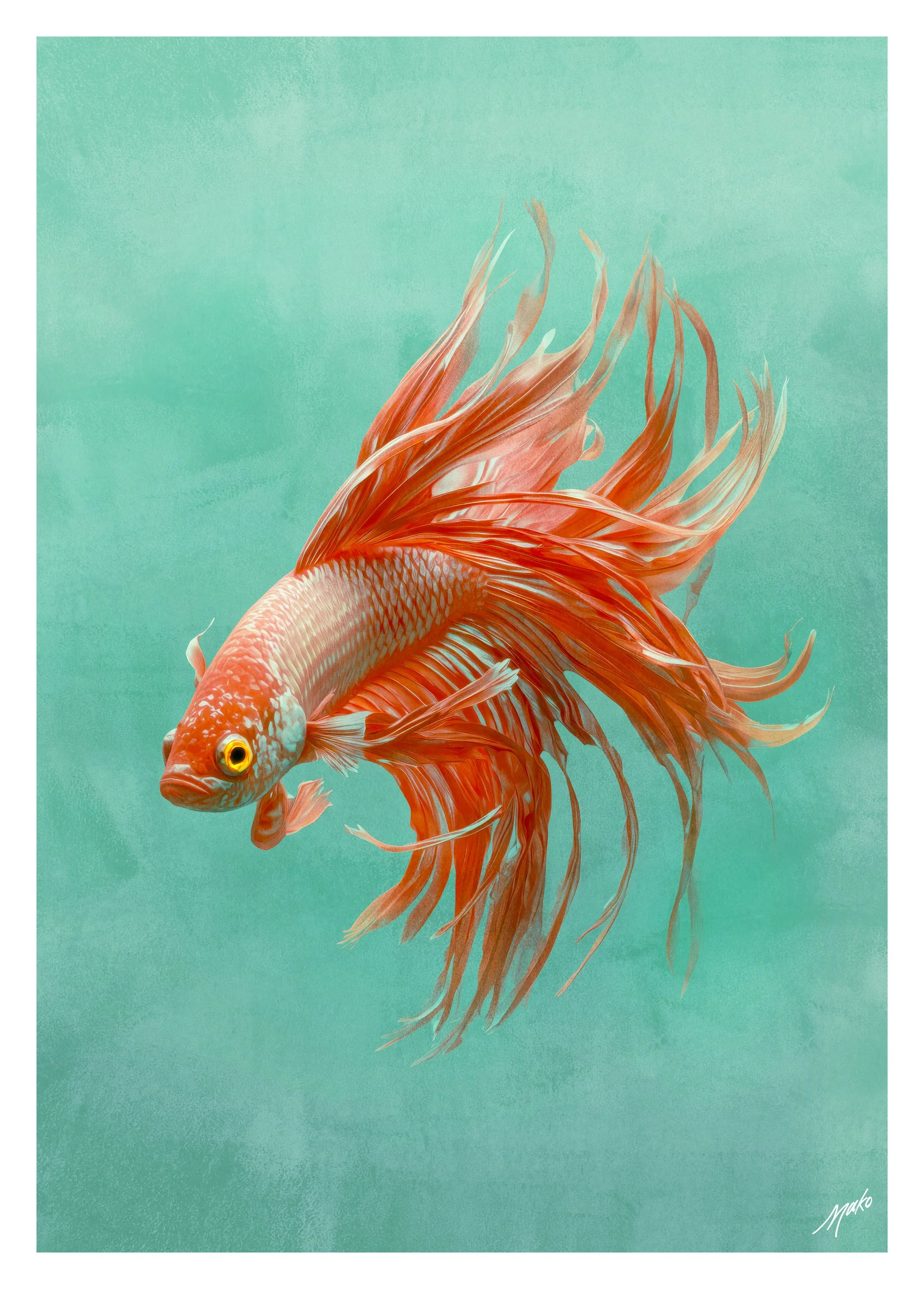 032-Red-Crowntail-Betta-fish.jpg