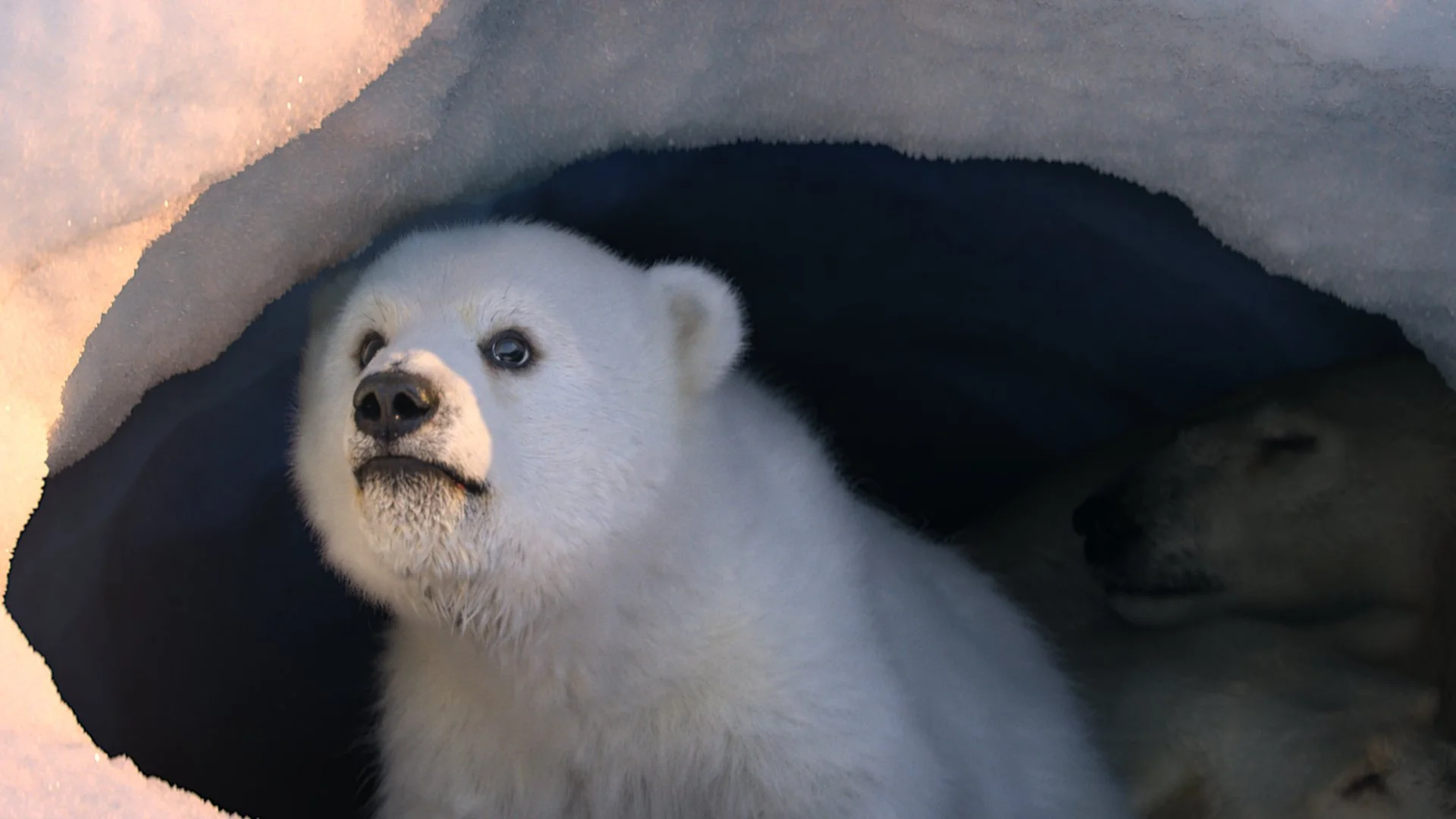 DOI Complete Comp 200090102.jpg