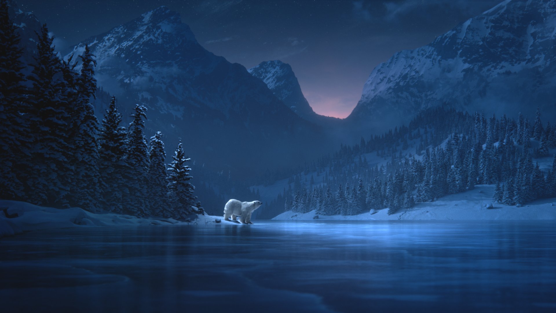 Director_Grade (0-00-00-01).jpg