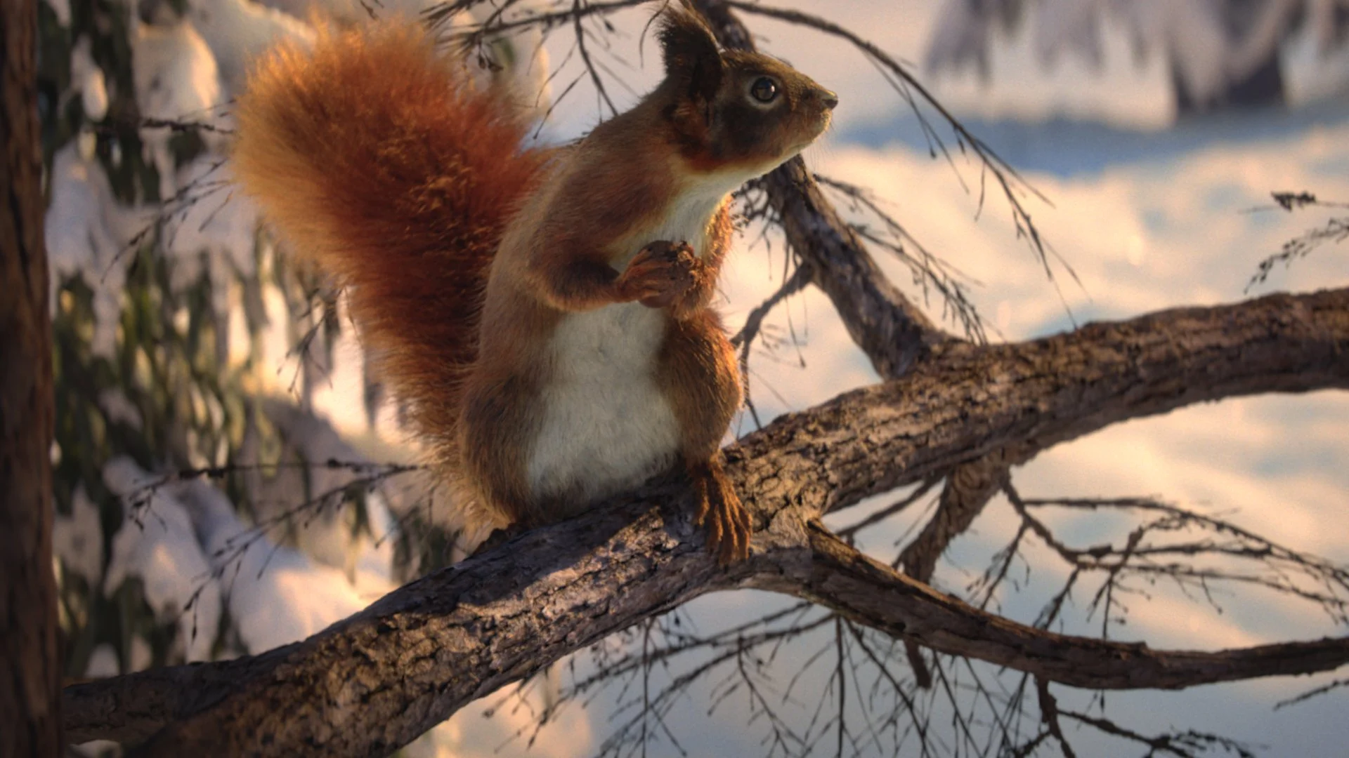 DOI Complete Comp 200090177.jpg