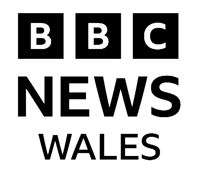 The Gallatin Valley Walls logo with six blocks, each containing the letters B, B, C, N, W, S, W, A, I, L, L, S.