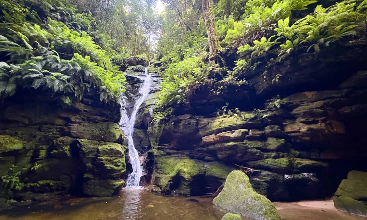 claustral for blog - 25.jpeg