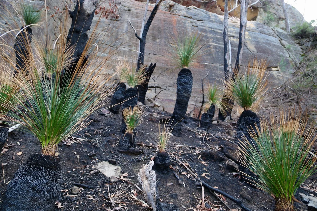 suspended barbican - 8.jpeg