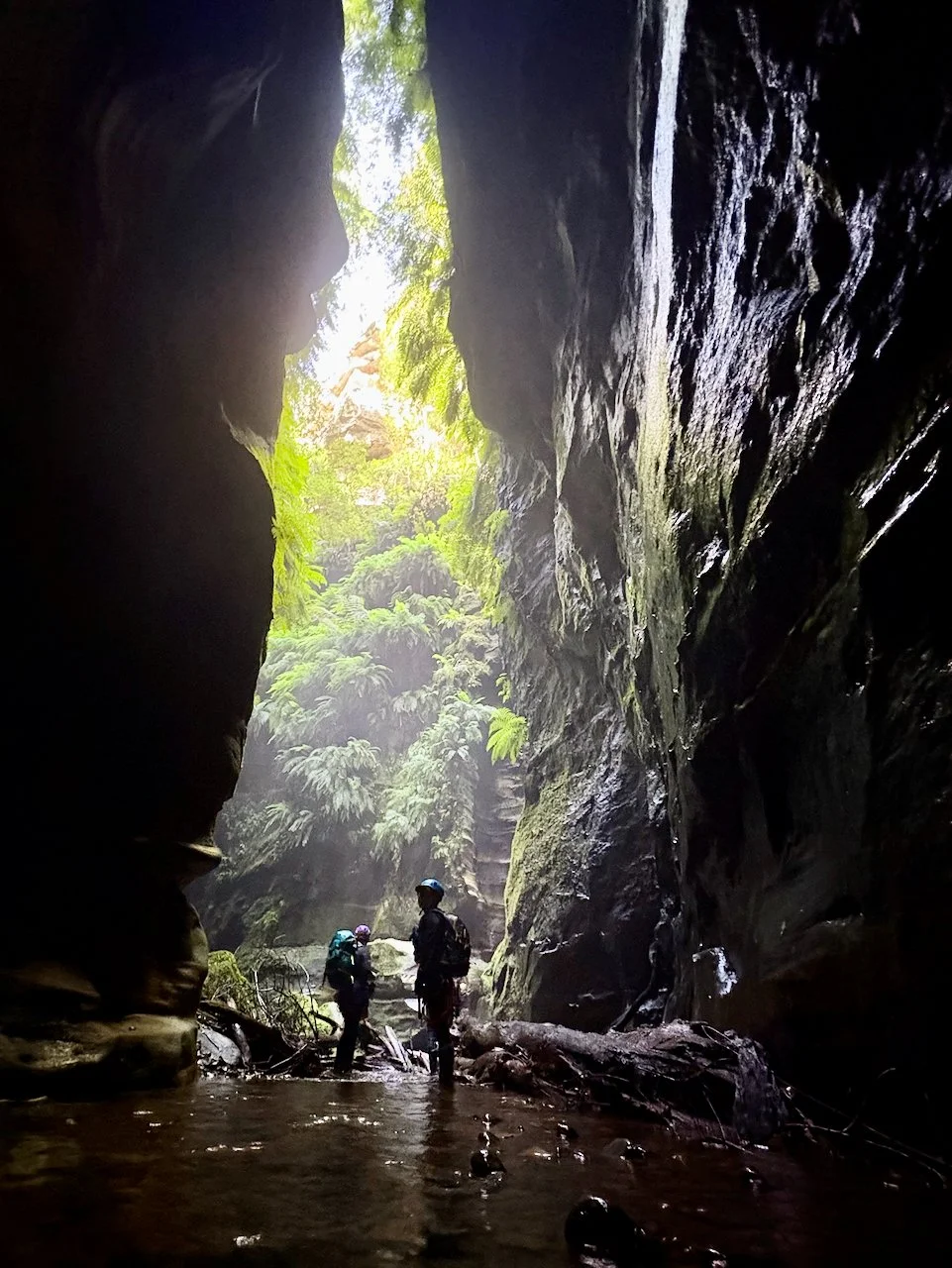 Exiting the Black Hole of Calcutta