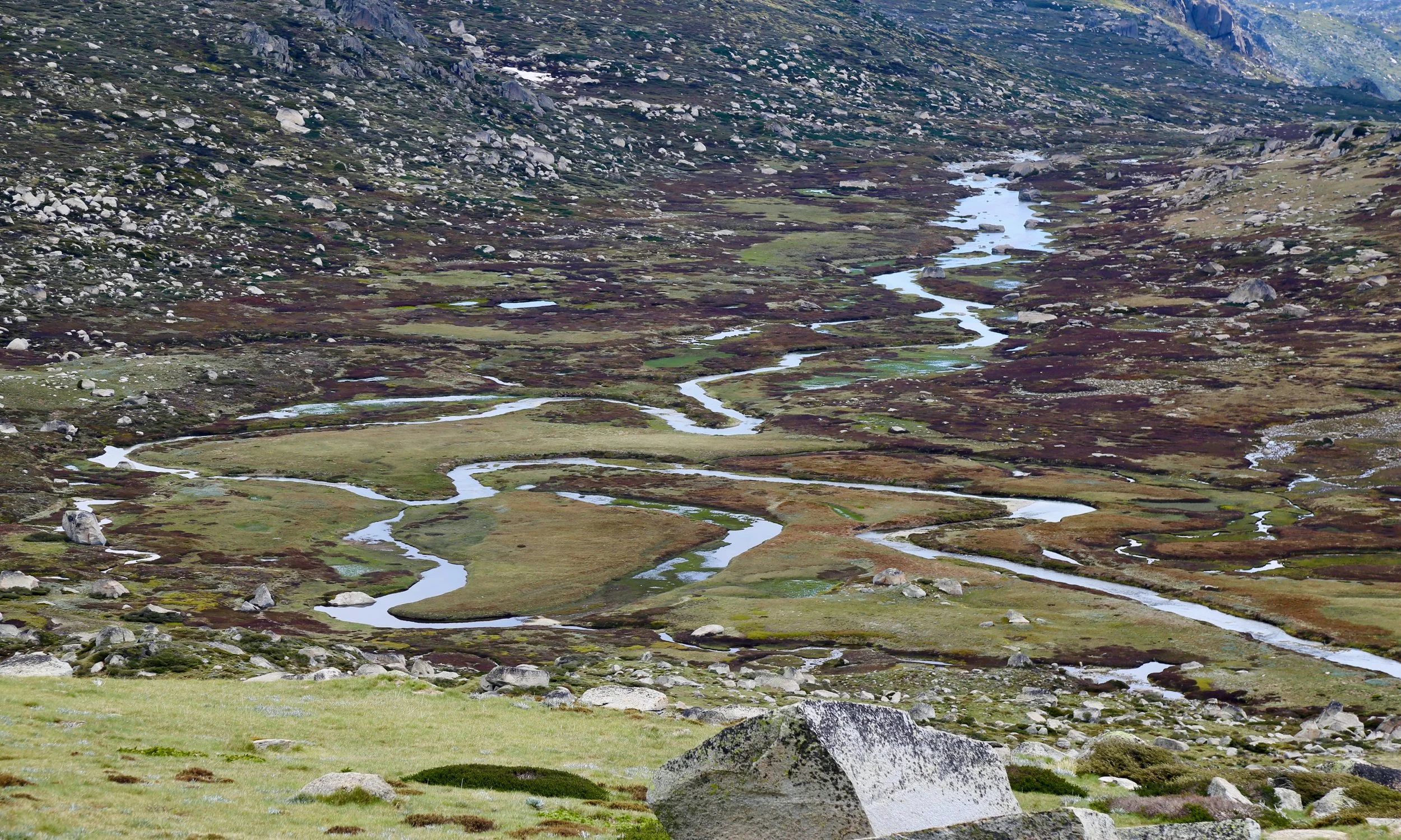 Upper reaches of the Snowy River
