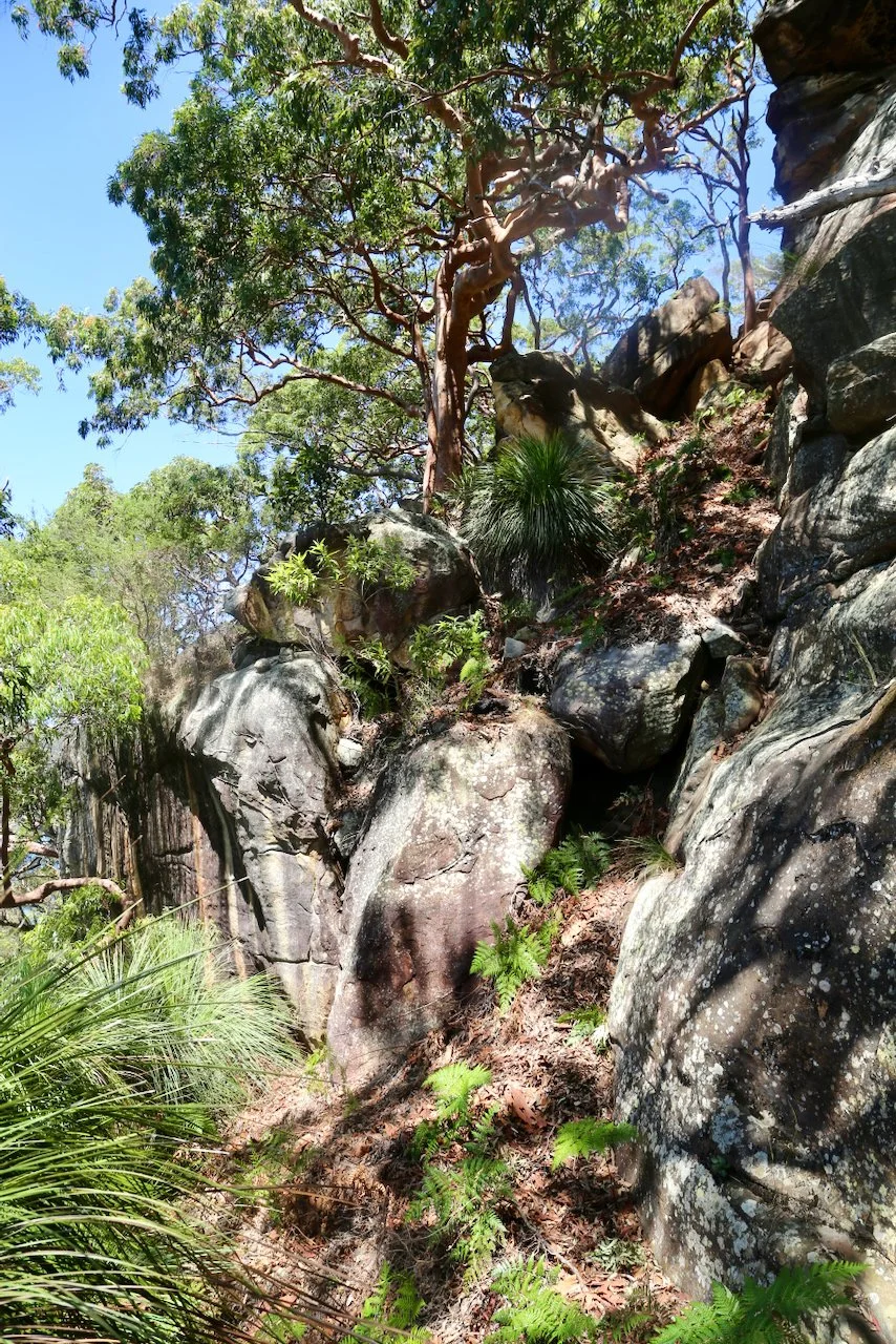 What the Cliffs Hold — Pittwater | Ku-ring-gai Chase National Park ...