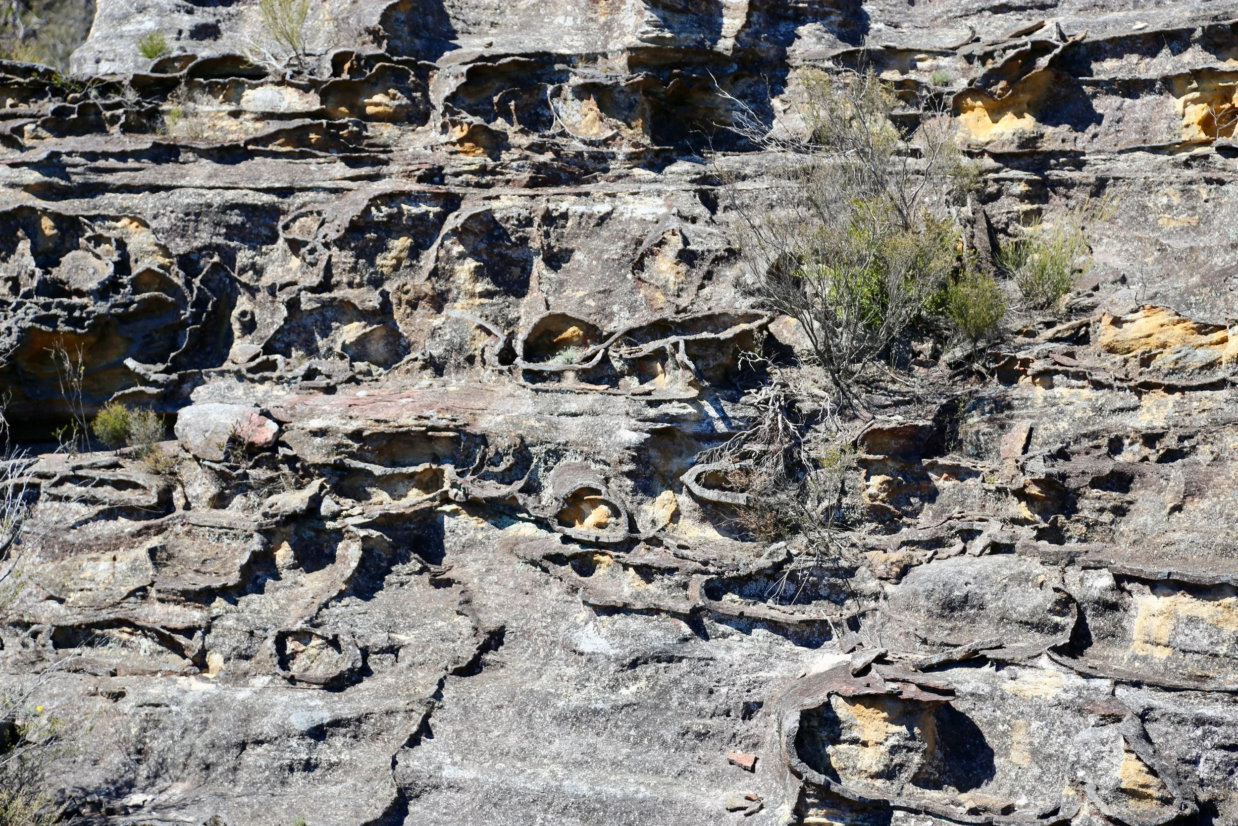 Sandstone and ironstone play.