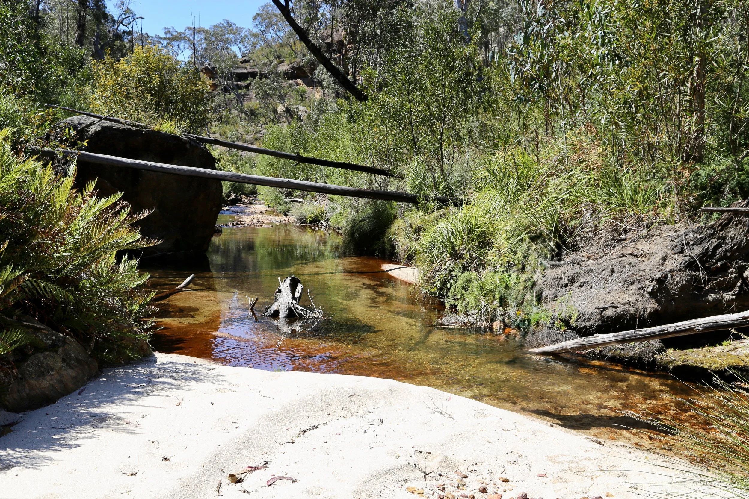     Clear water and pale sand along Bungleboori Creek.