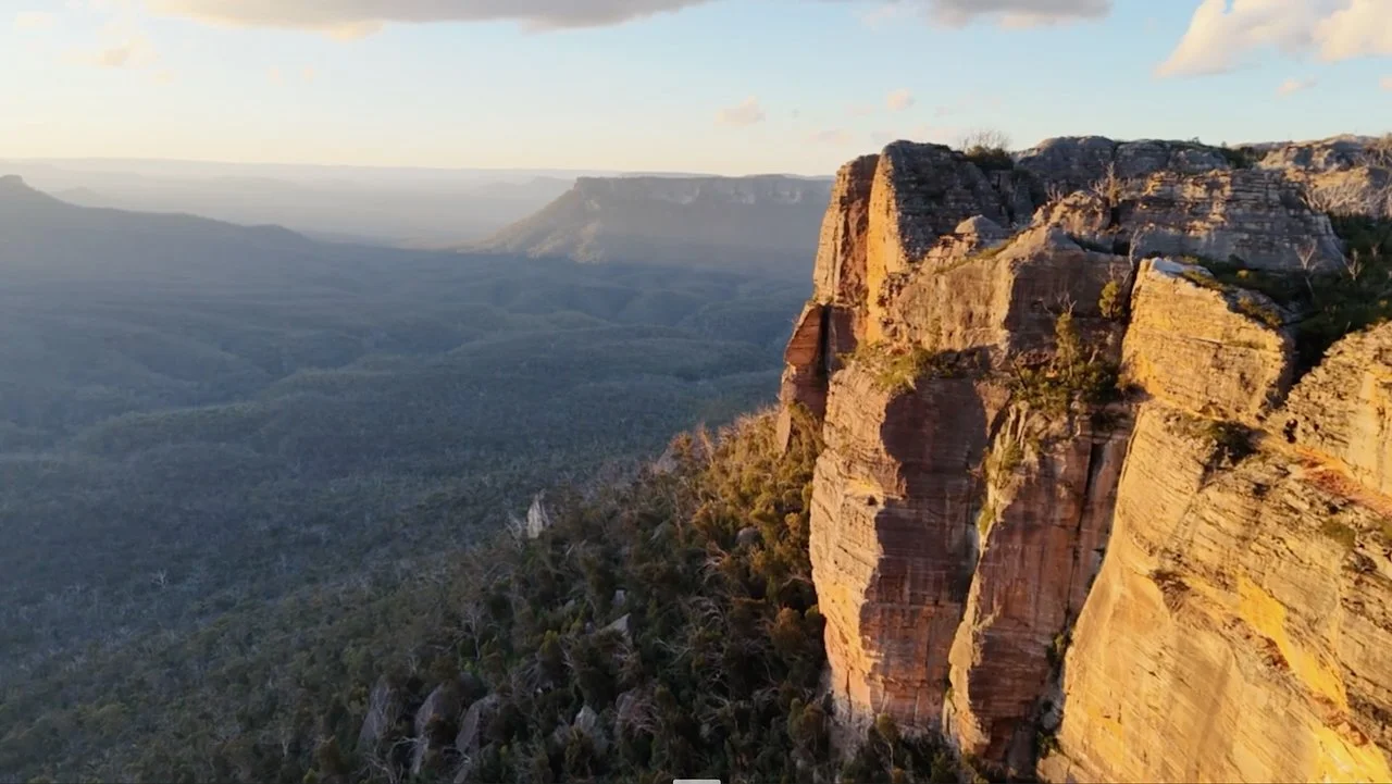 point cameron video still - 1.jpeg