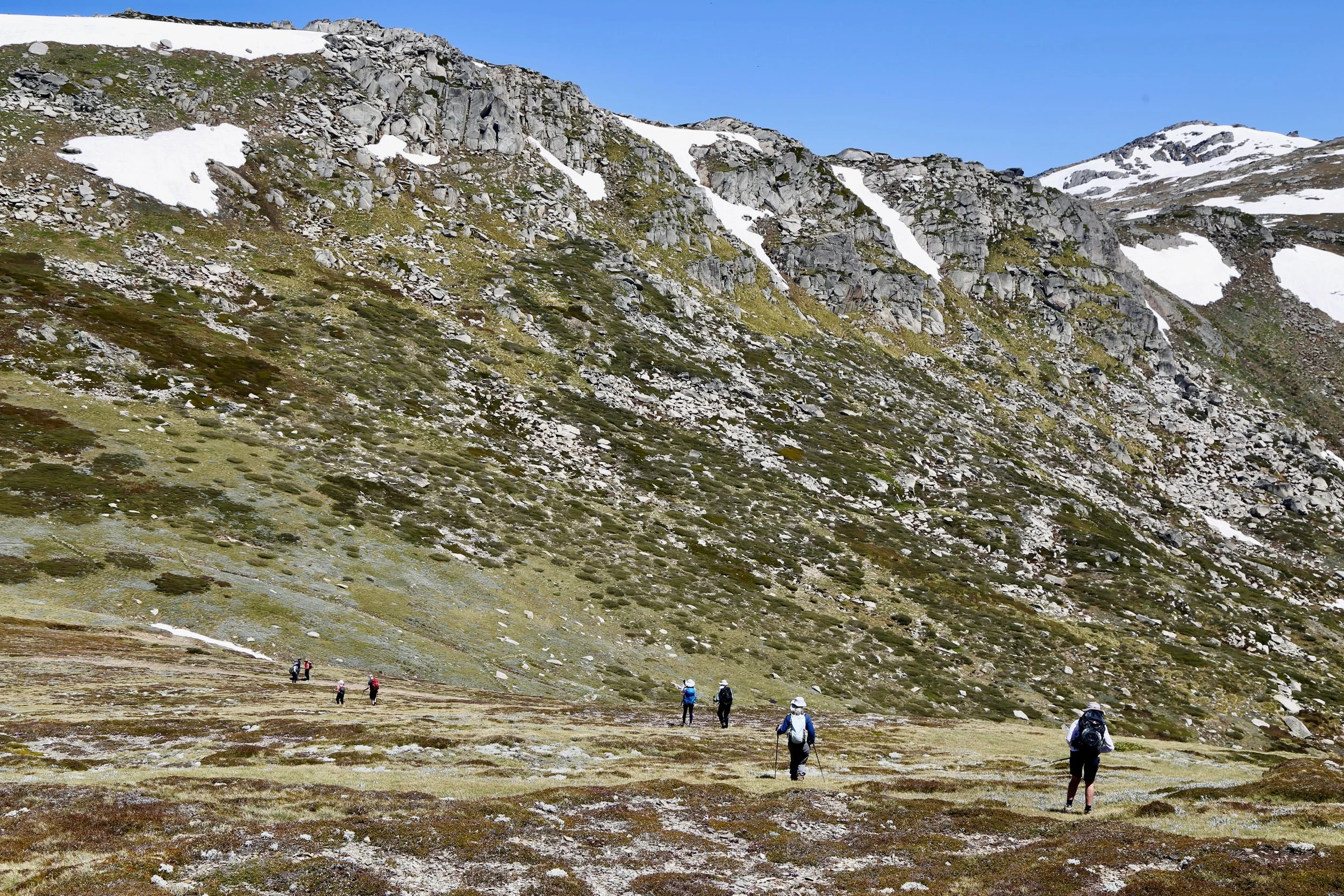 Moraine Pass and Mount Northcote behind