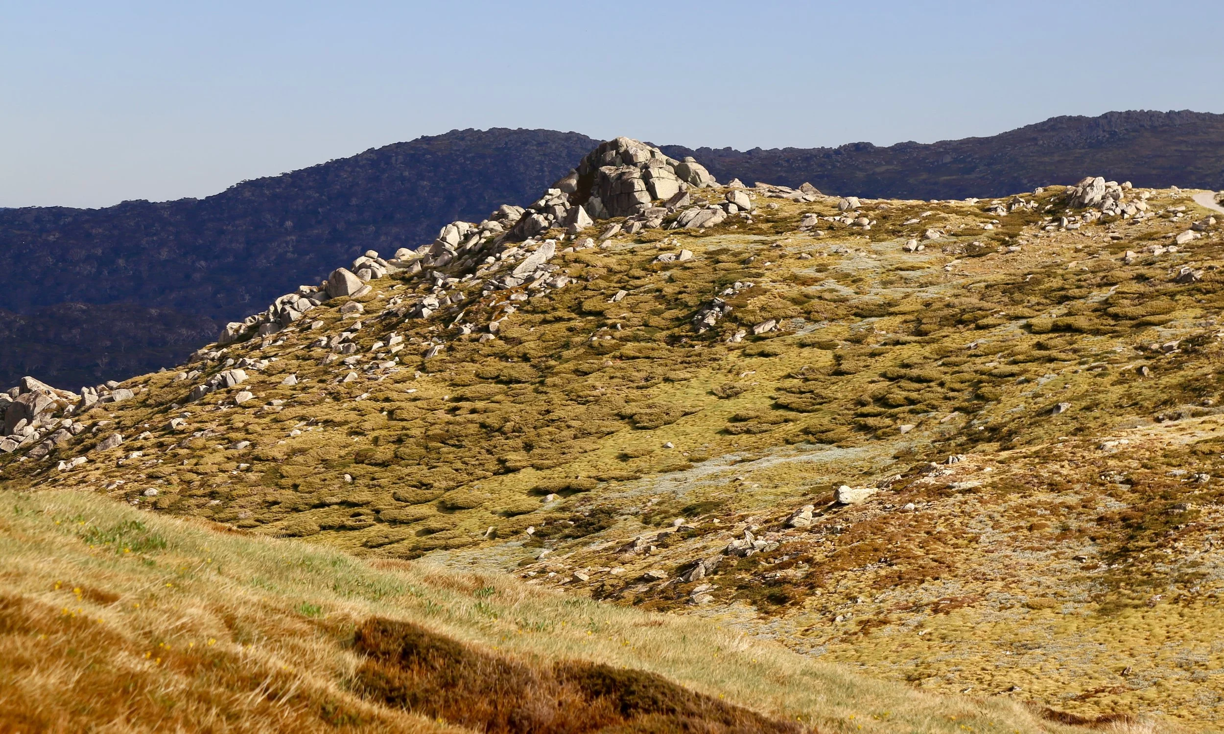 mount townsend - 28 (1).jpeg