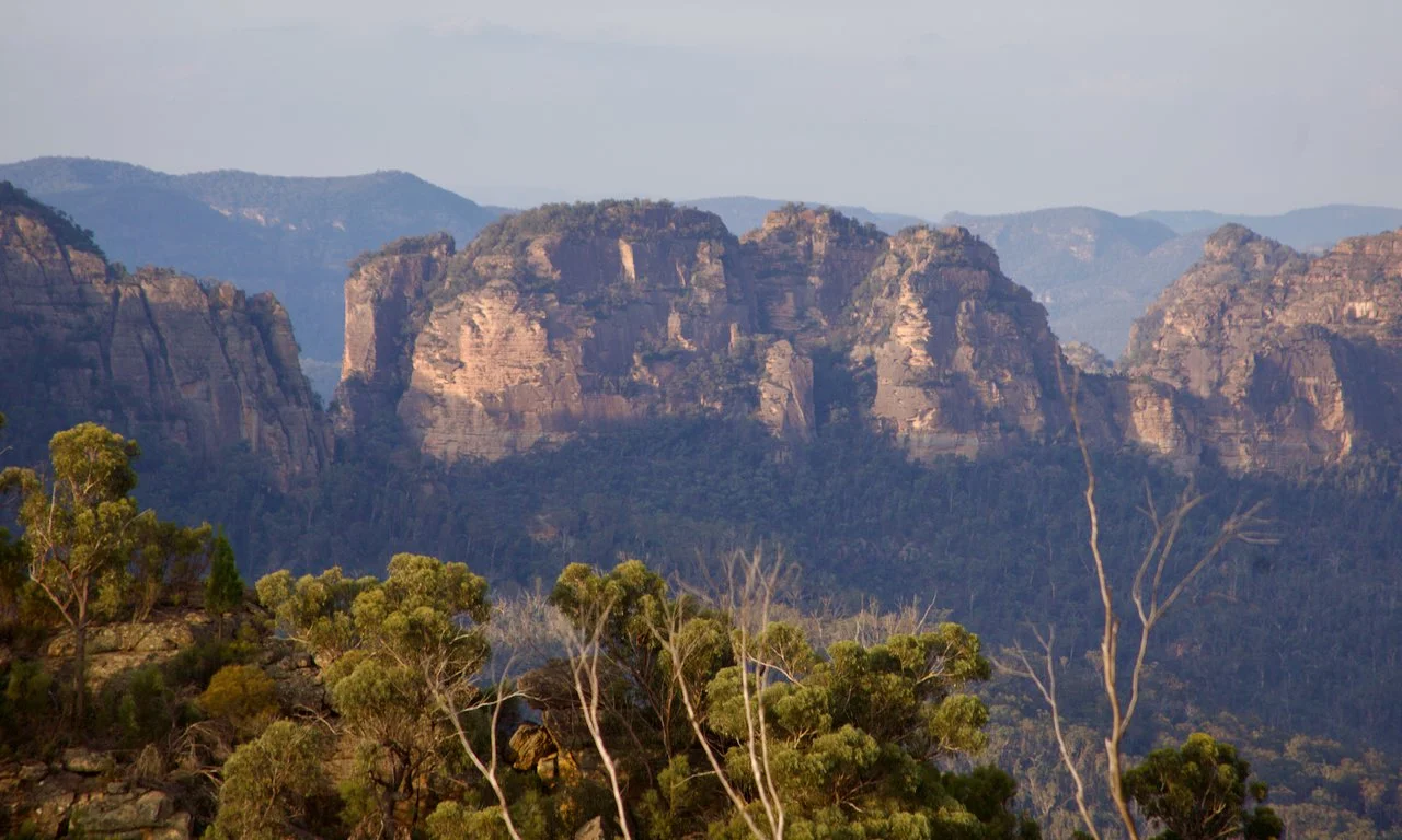 Scenic view of rocky canyon cliffs with forested foreground and distant mountain ranges.