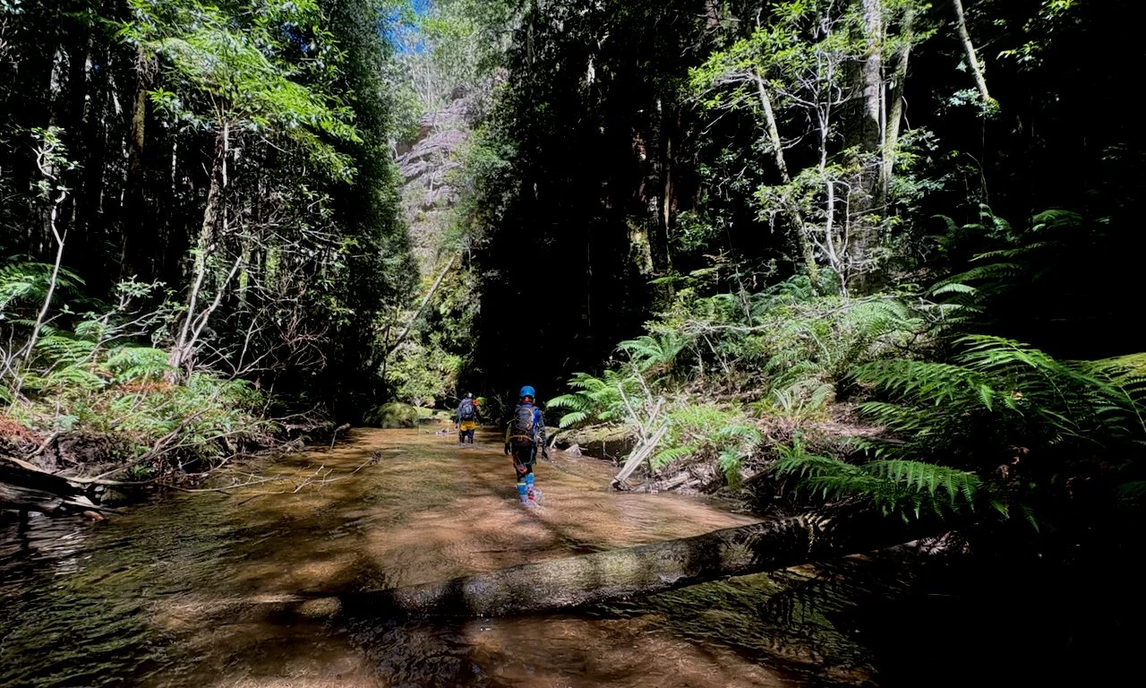 claustral for blog - 24.jpeg