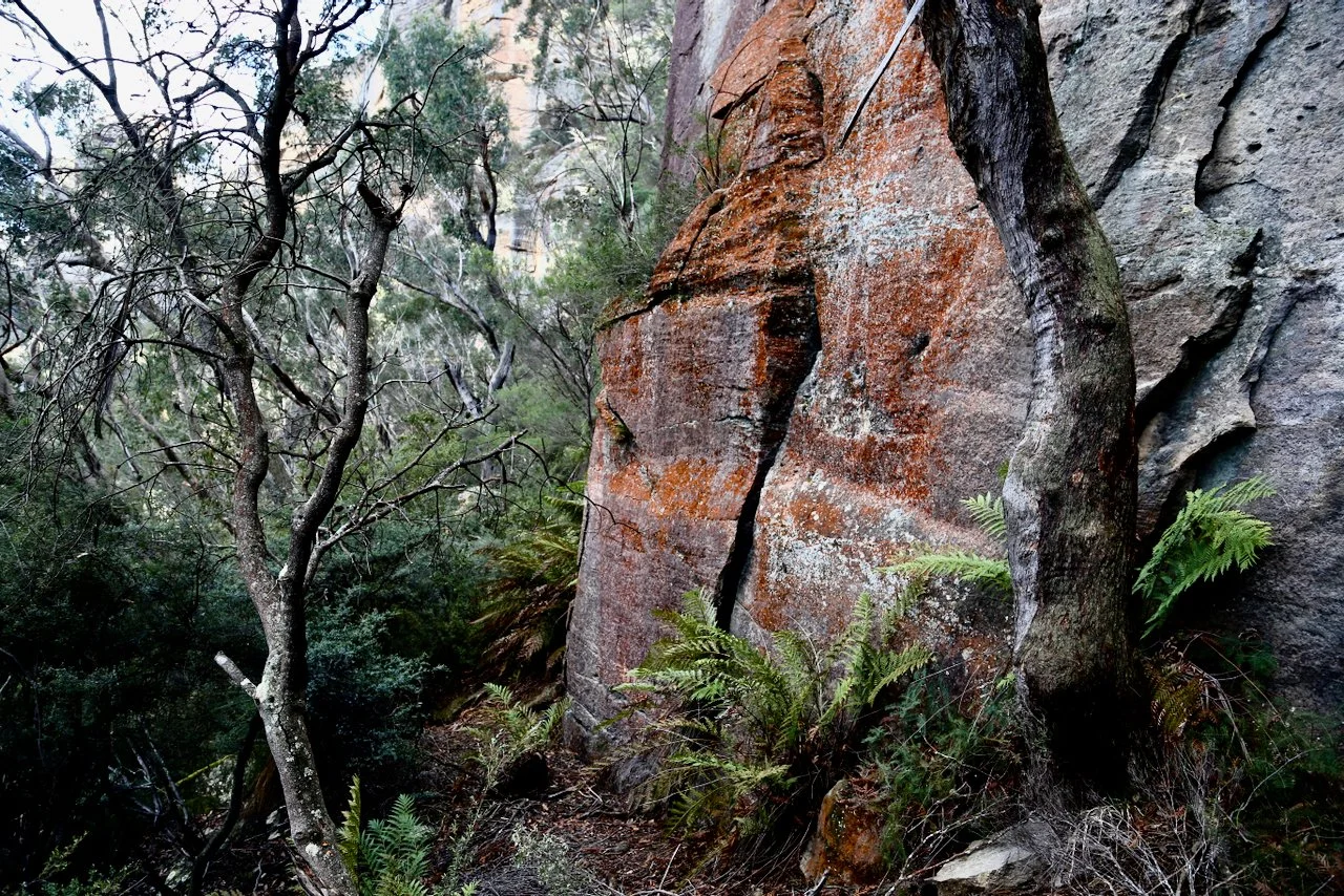suspended barbican - 9.jpeg