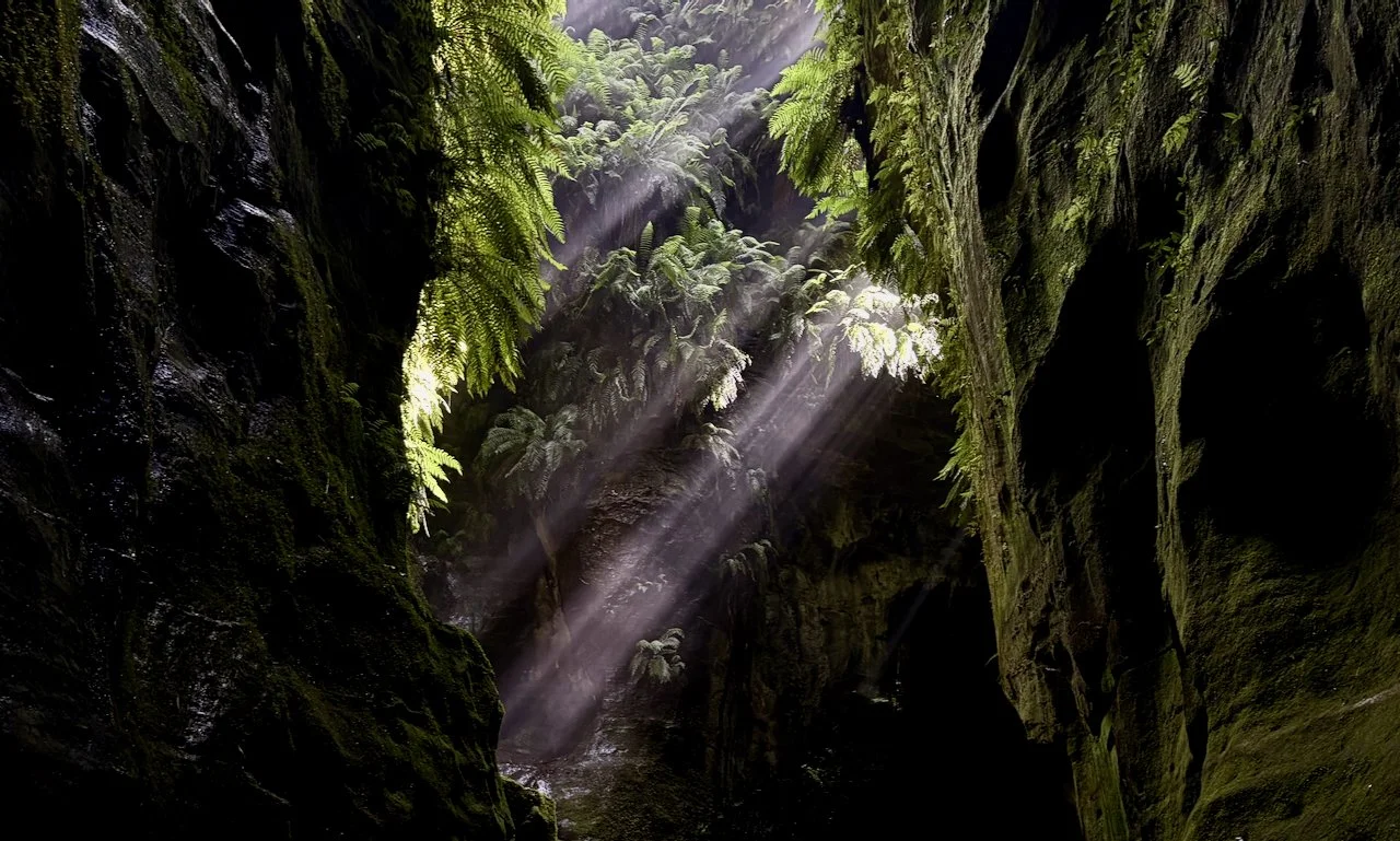 claustral for blog - 11.jpeg