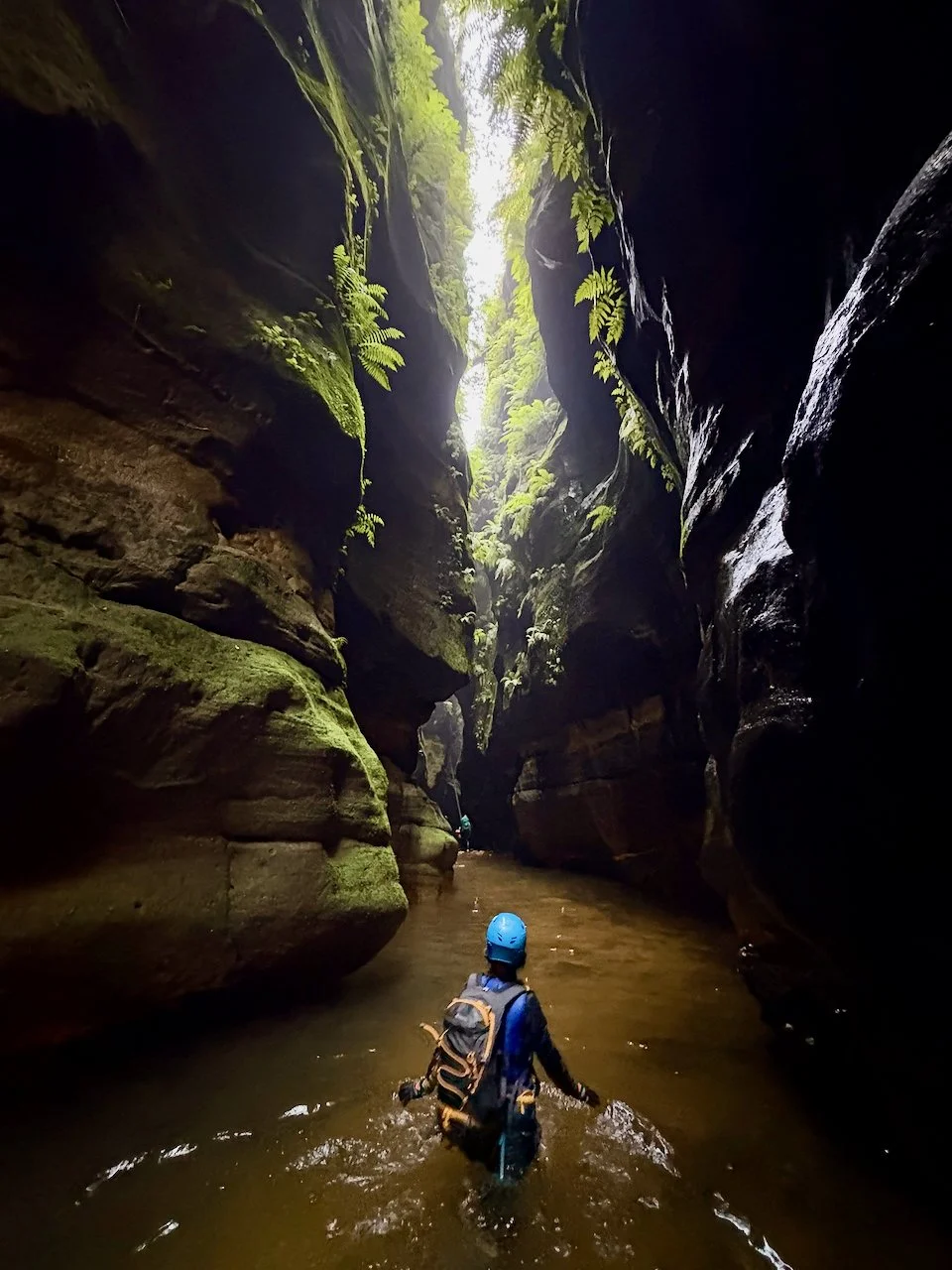 claustral for blog - 14.jpeg