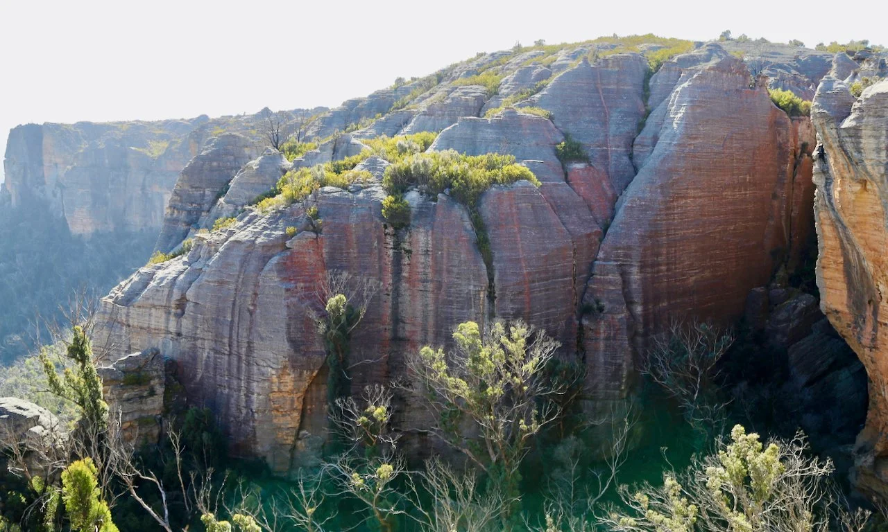 Cliffs and rocks with sparse green vegetation in a canyon under bright daylight.