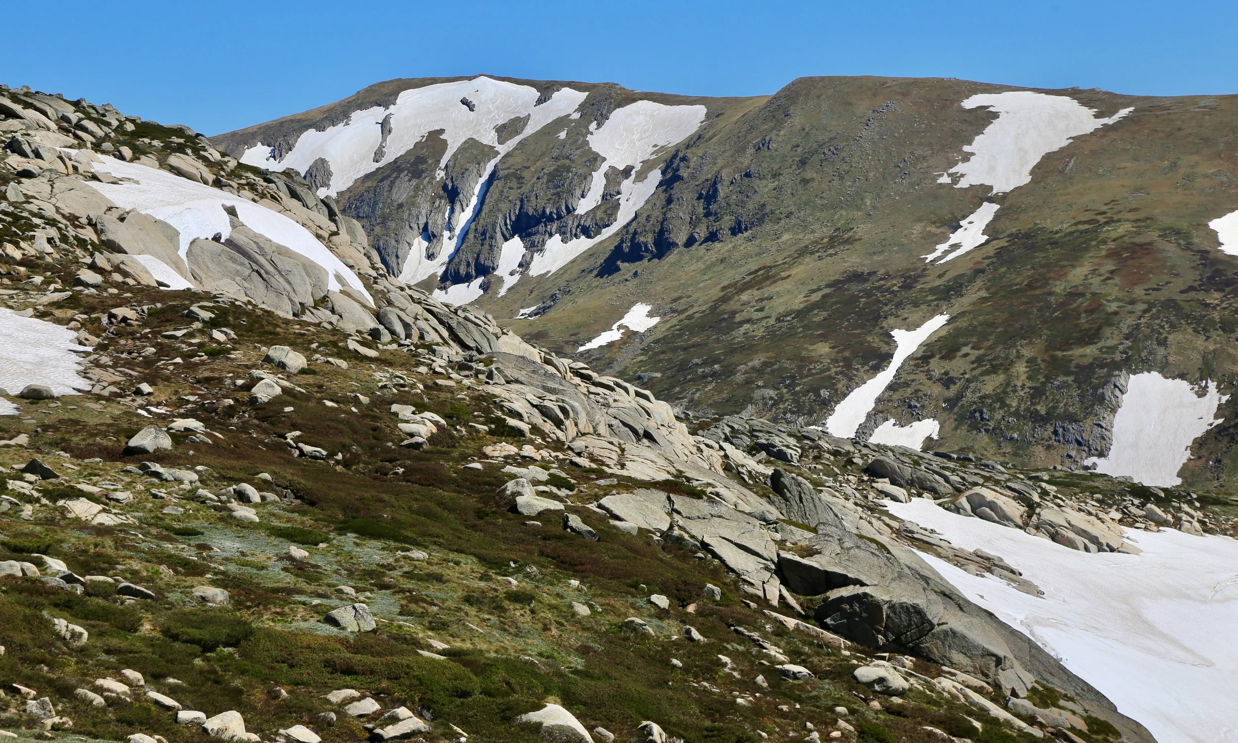 Looking up to Carruthers
Peak (2,145 m)