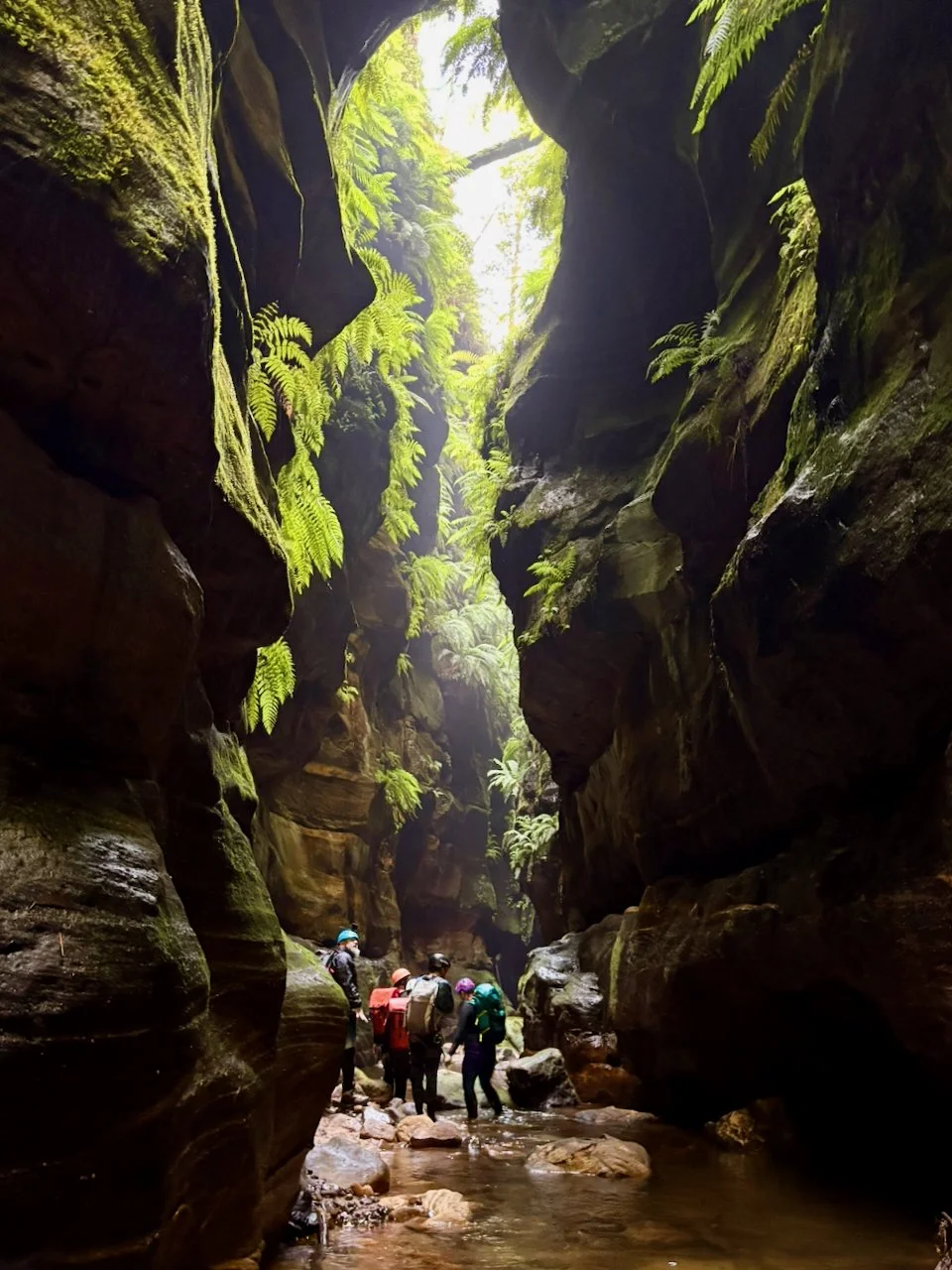 The journey continues