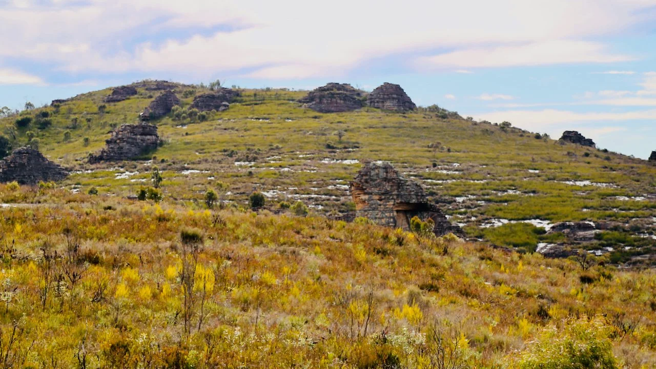 A desert landscape with yellow, orange, and green bushes in the foreground and rocky hills with sparse vegetation and patches of snow in the background, under a partly cloudy sky.
