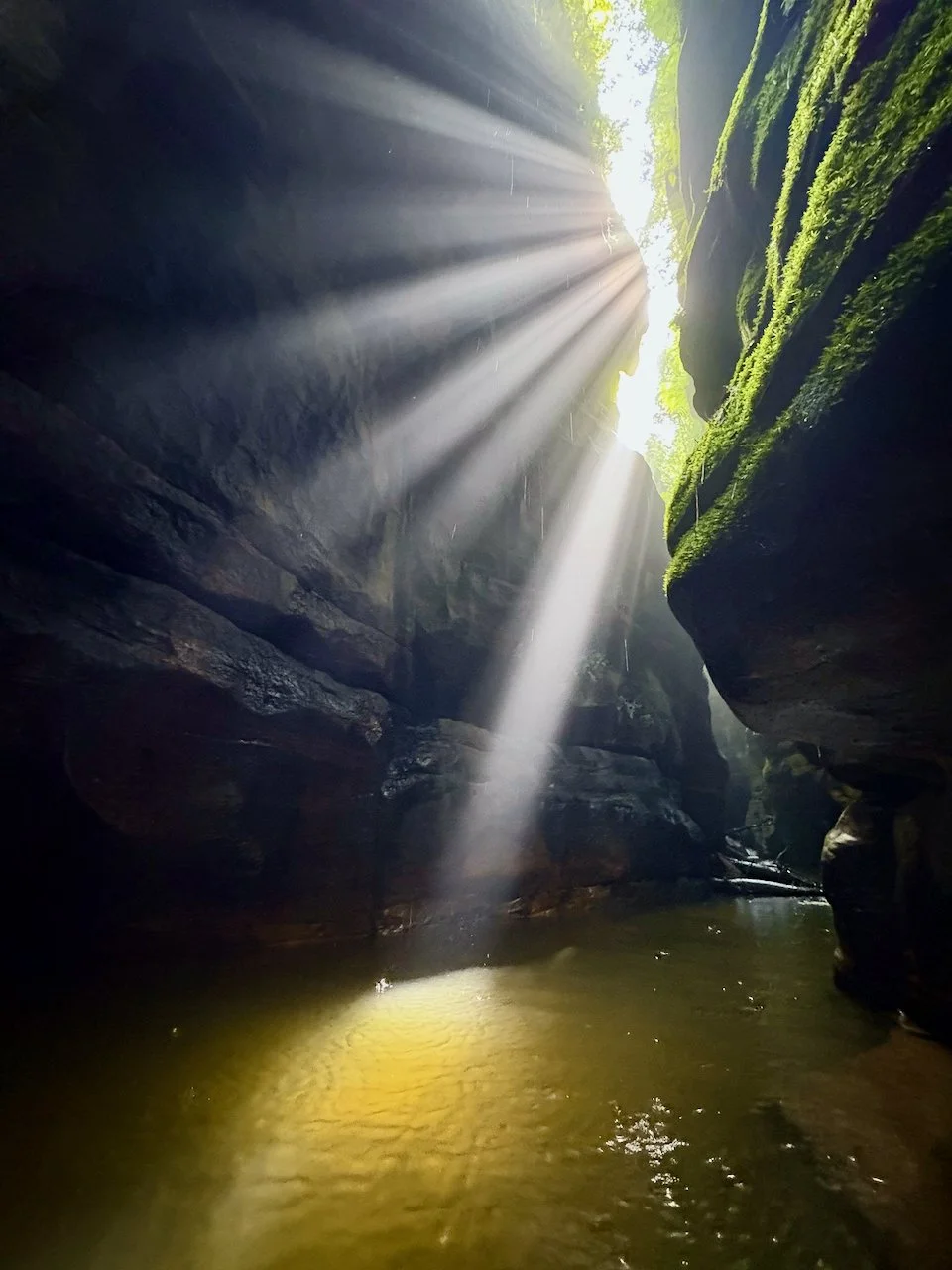 claustral for blog - 15.jpeg