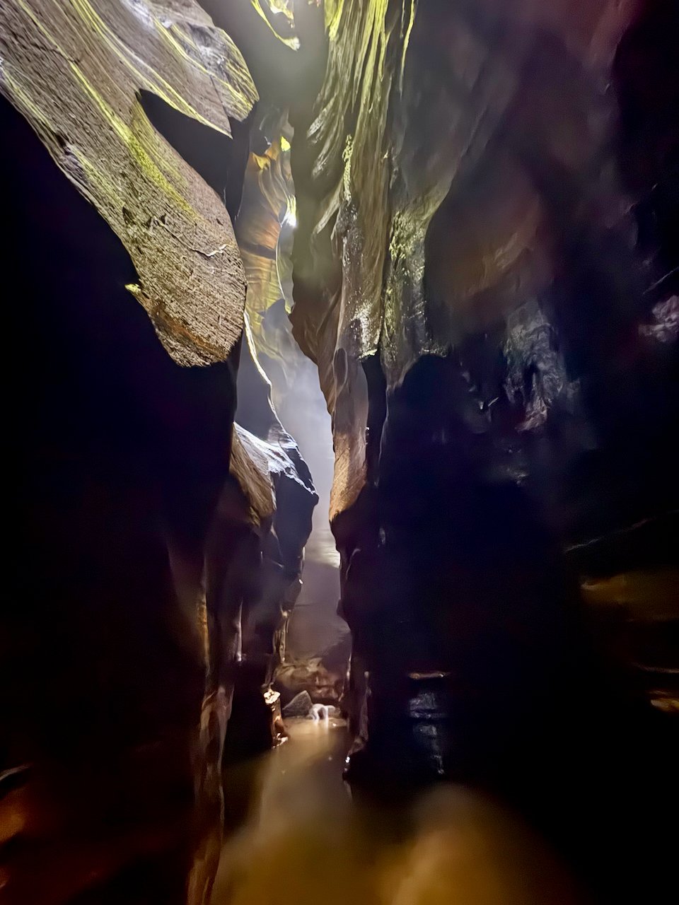 claustral for blog - 3.jpeg