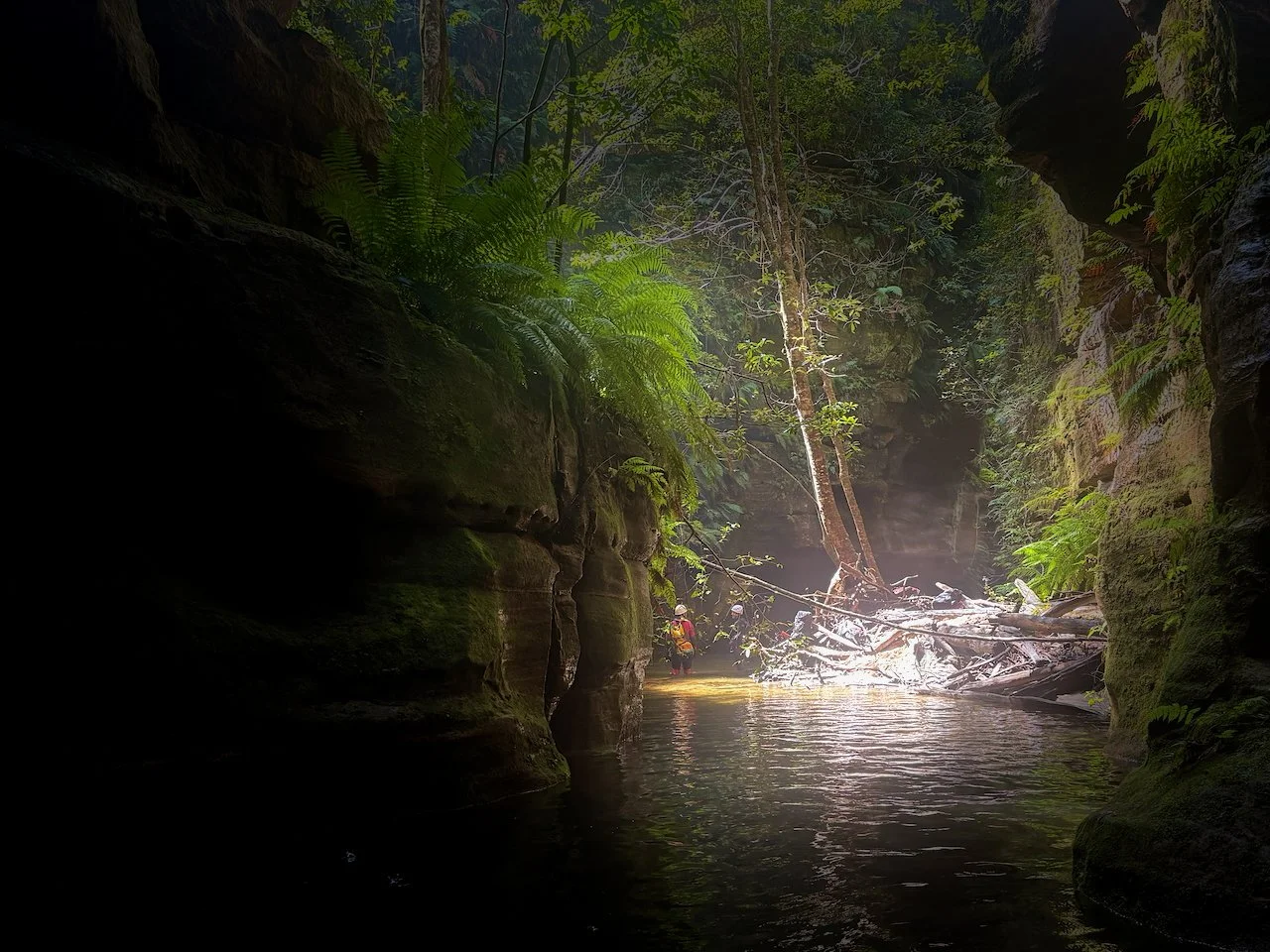 claustral for blog - 20.jpeg