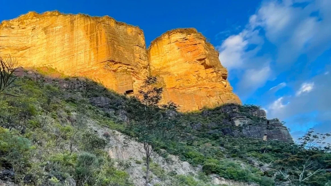 Katoomba Landslide viewed from Federal Pass