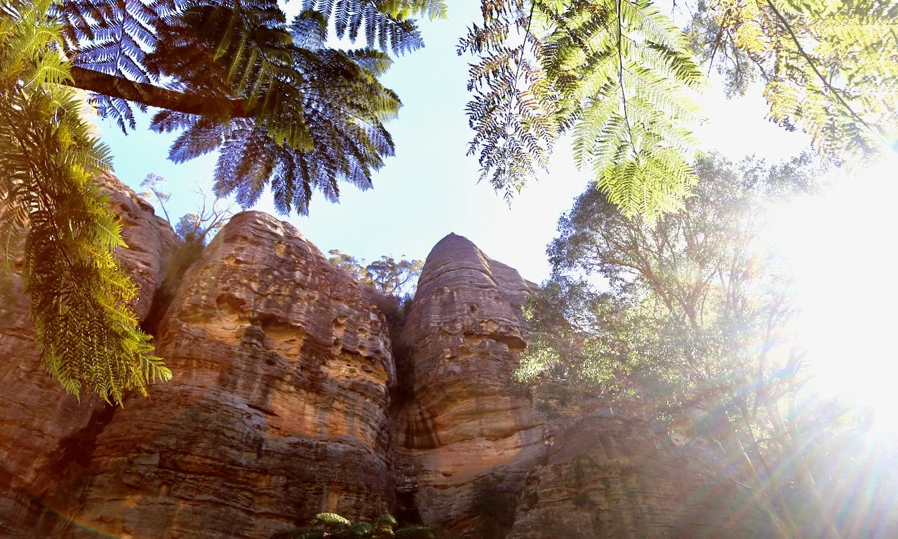 Rock formations towering amidst trees with sunlight shining through the branches.