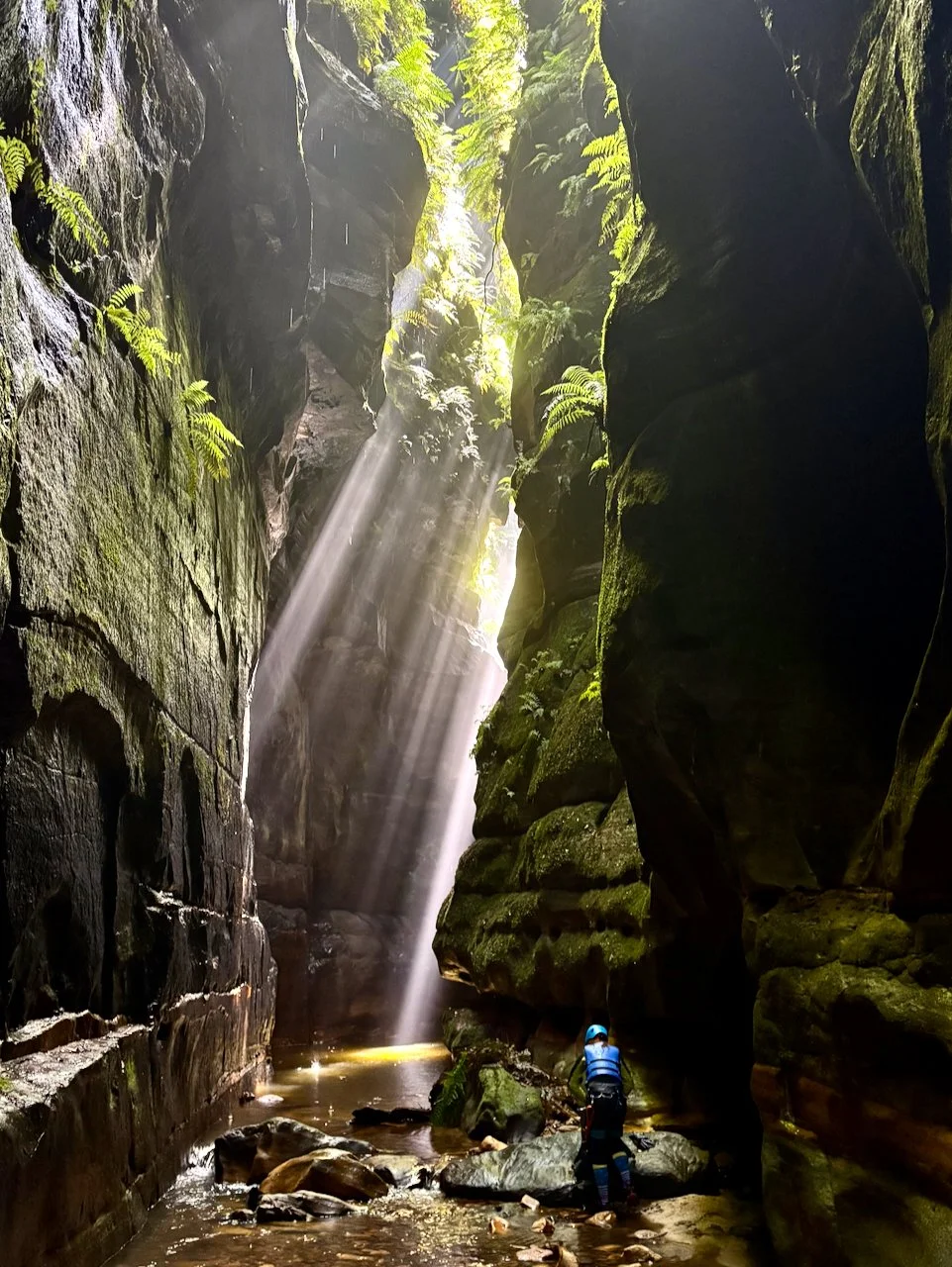 claustral for blog - 18.jpeg