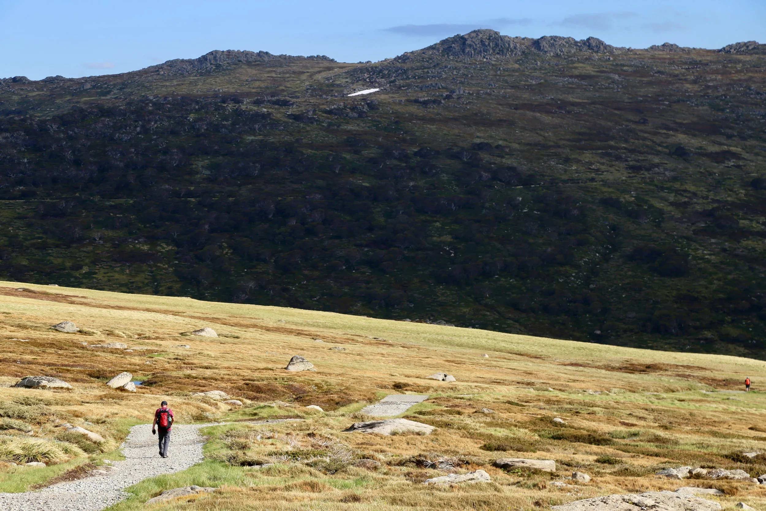 On the way back to Charlottes Pass