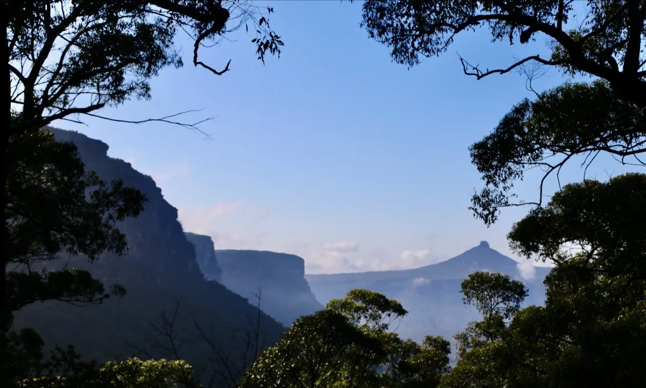Scenic view of mountains and a cloudy sky framed by trees in a lush forest.