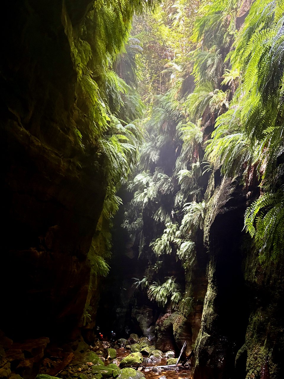 Humans, bottom left. For scale