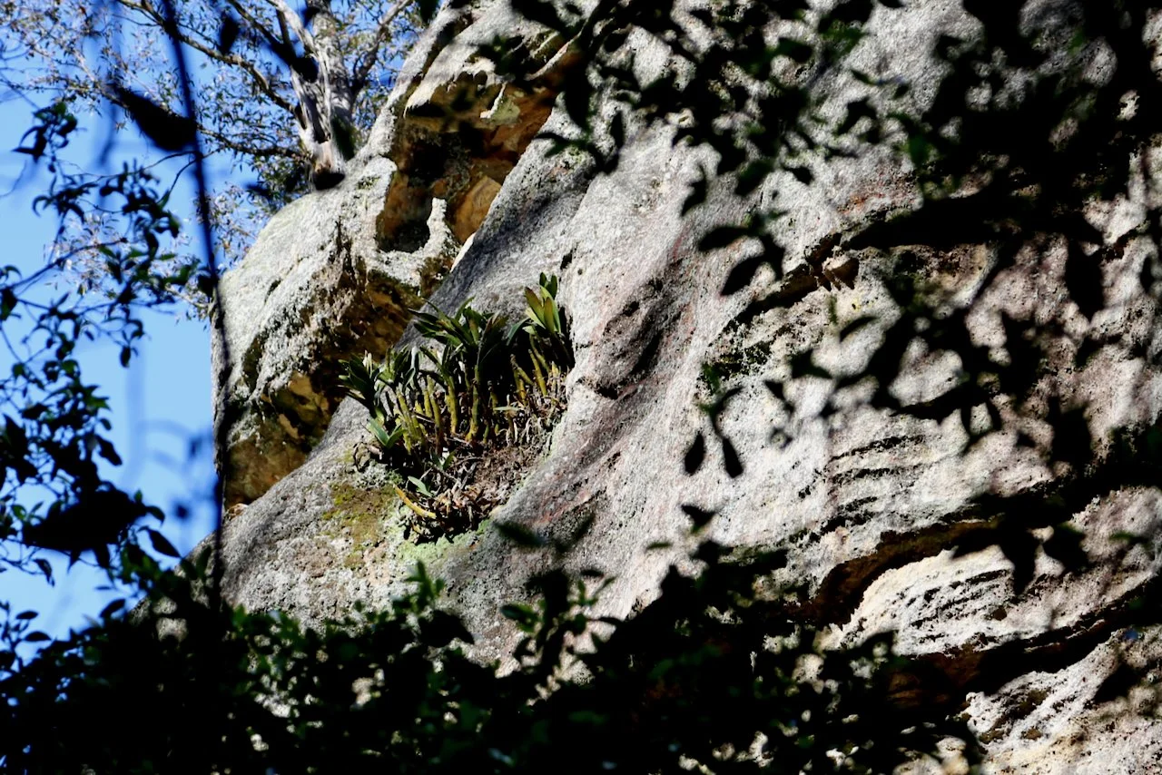 suspended barbican - 13.jpeg