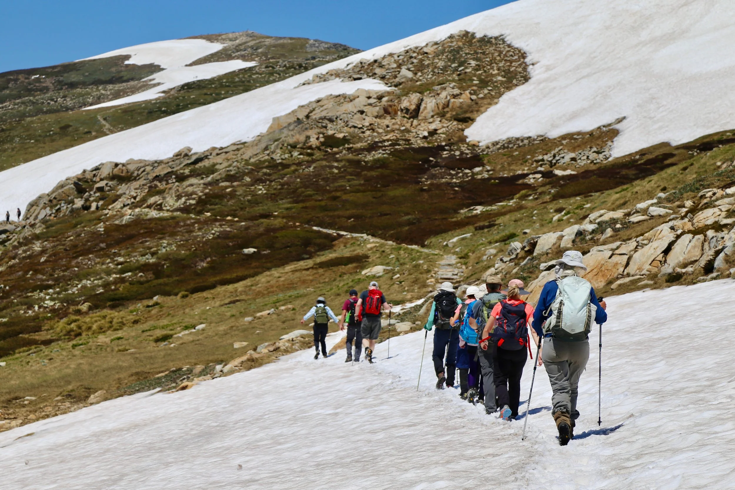 On the Main Range, with last winter's snow