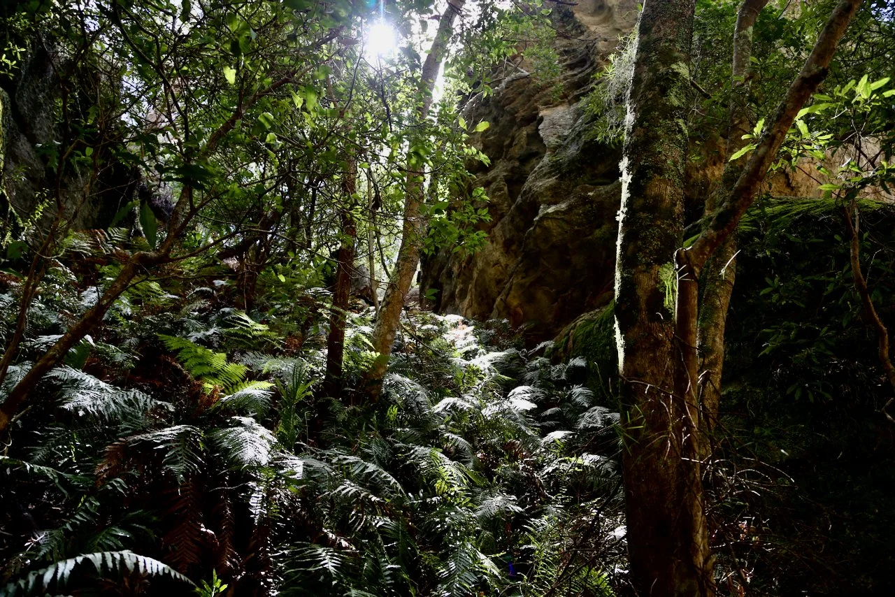 suspended barbican - 6.jpeg