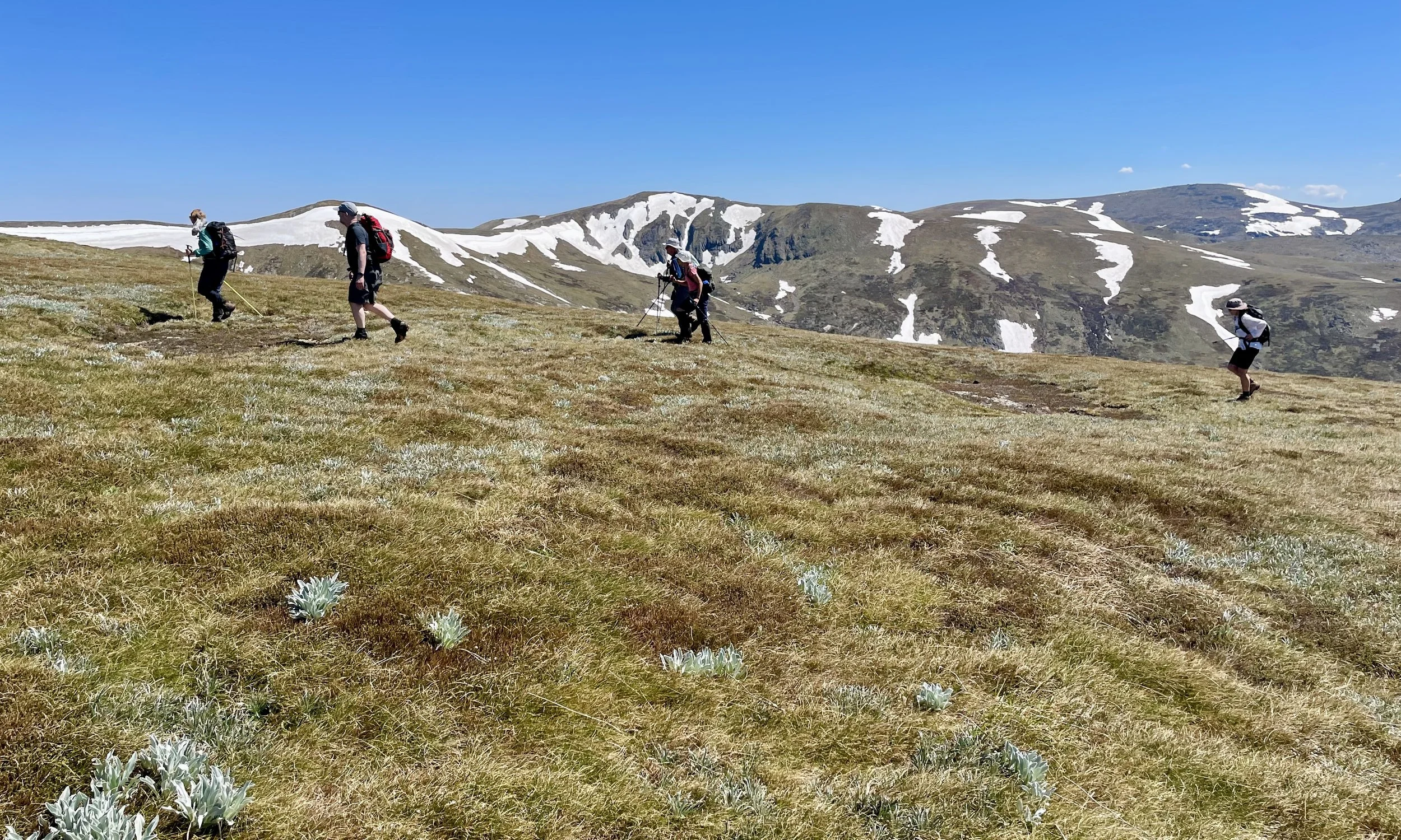Climbing Mount Clarke