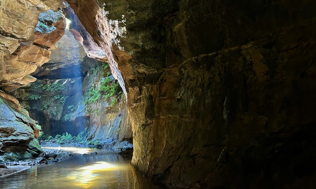 Sunlight streams into a narrow canyon with a shallow river flowing through it, rocks lining the riverbank, and green vegetation growing on the canyon walls.
