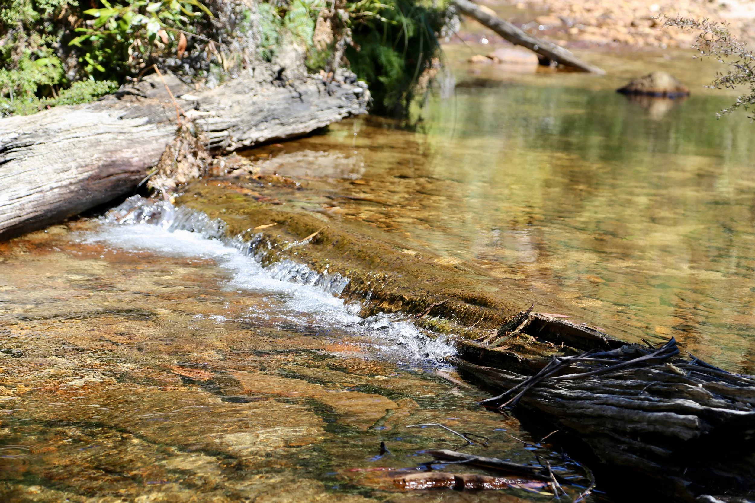     Bungleboori Creek, a quiet place for lunch.