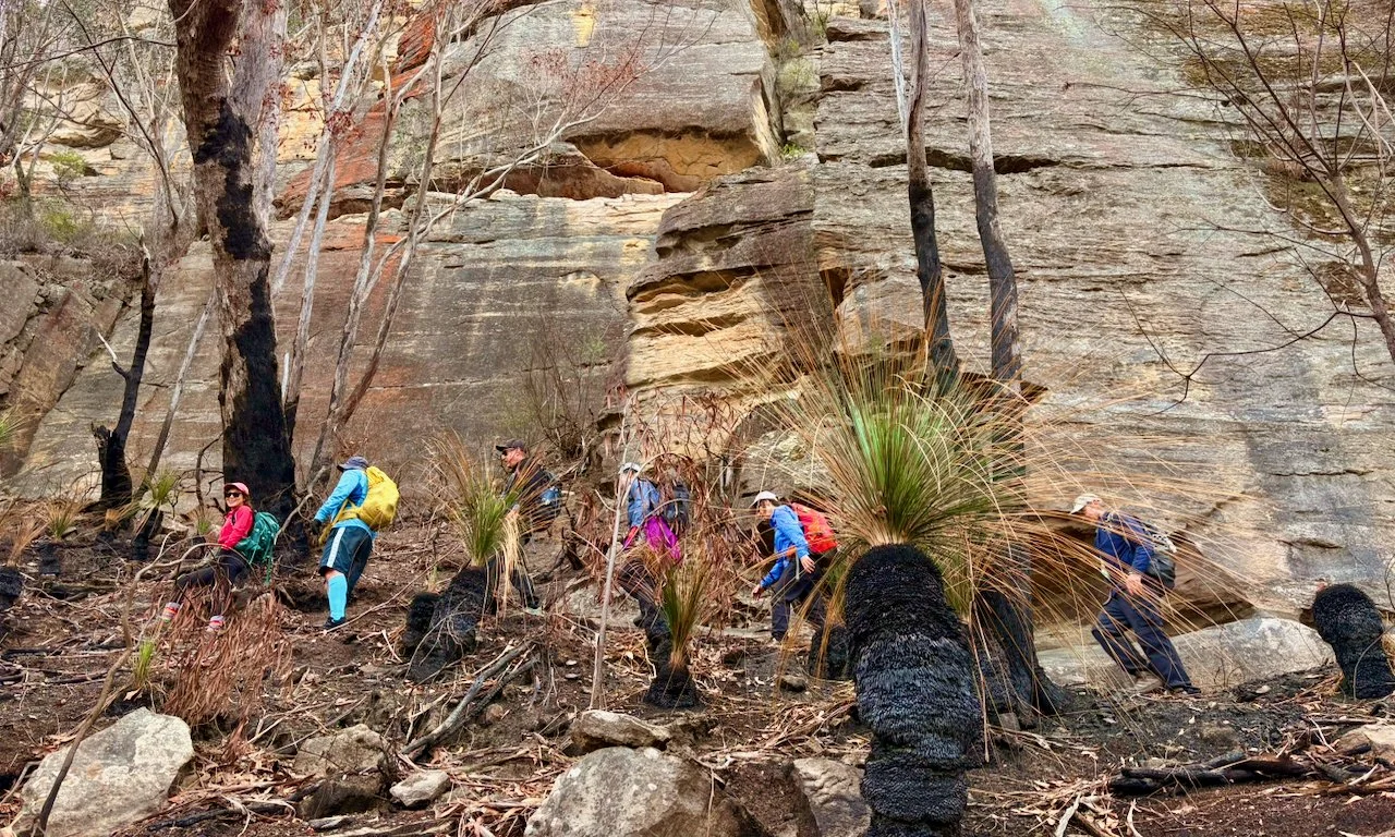 suspended barbican - 7.jpeg