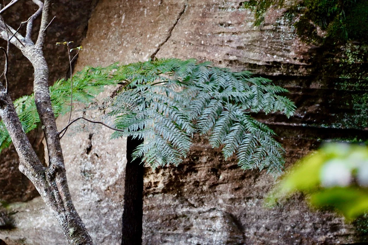 suspended barbican - 21.jpeg
