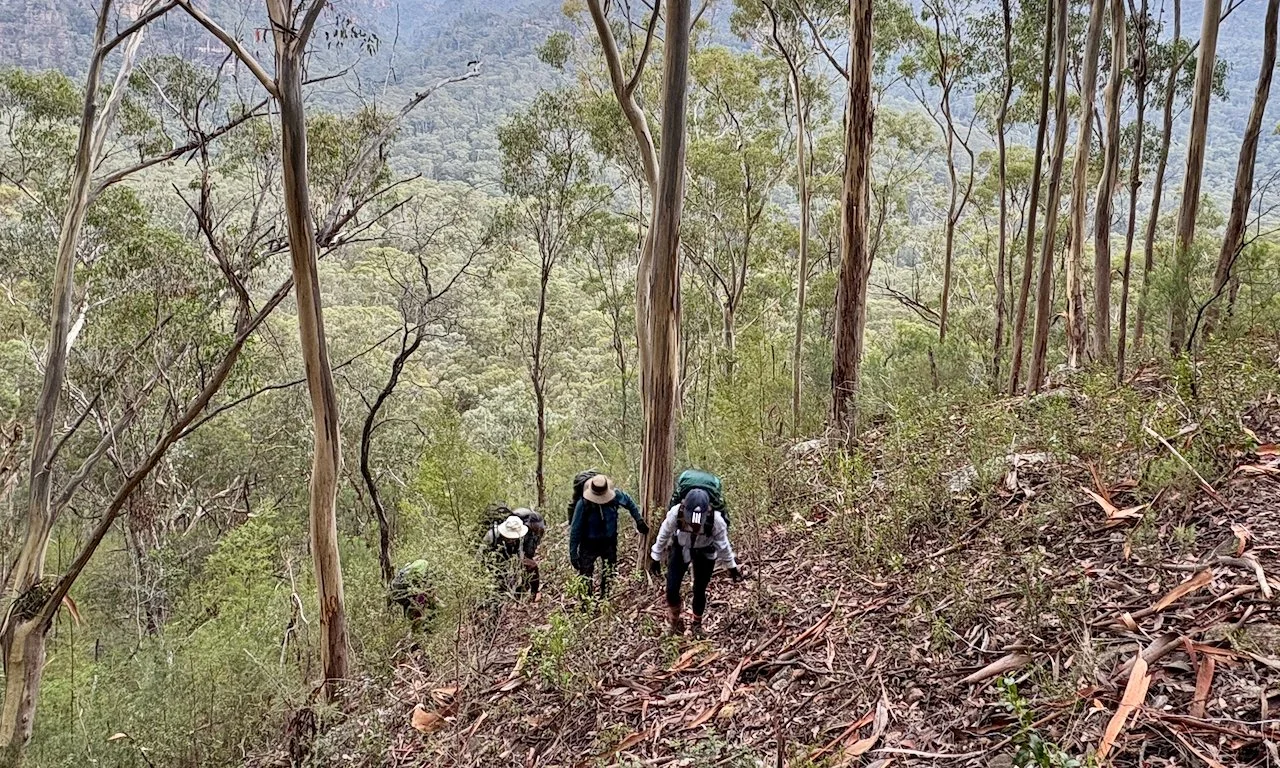 Climbing to the base of the cliffline